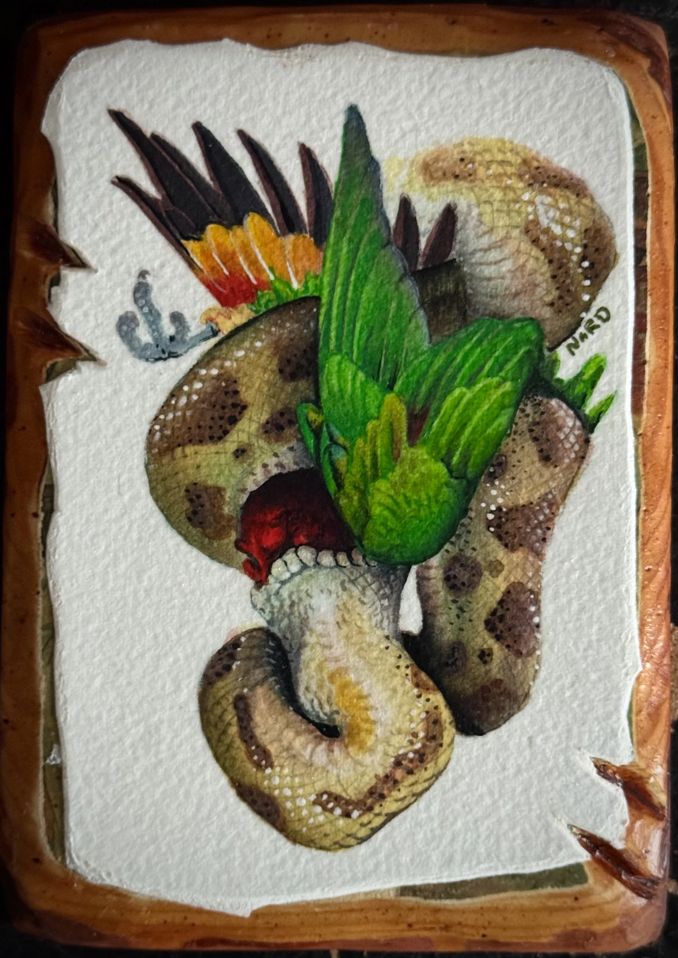 SNAKES Boa with Bird ORIGINAL