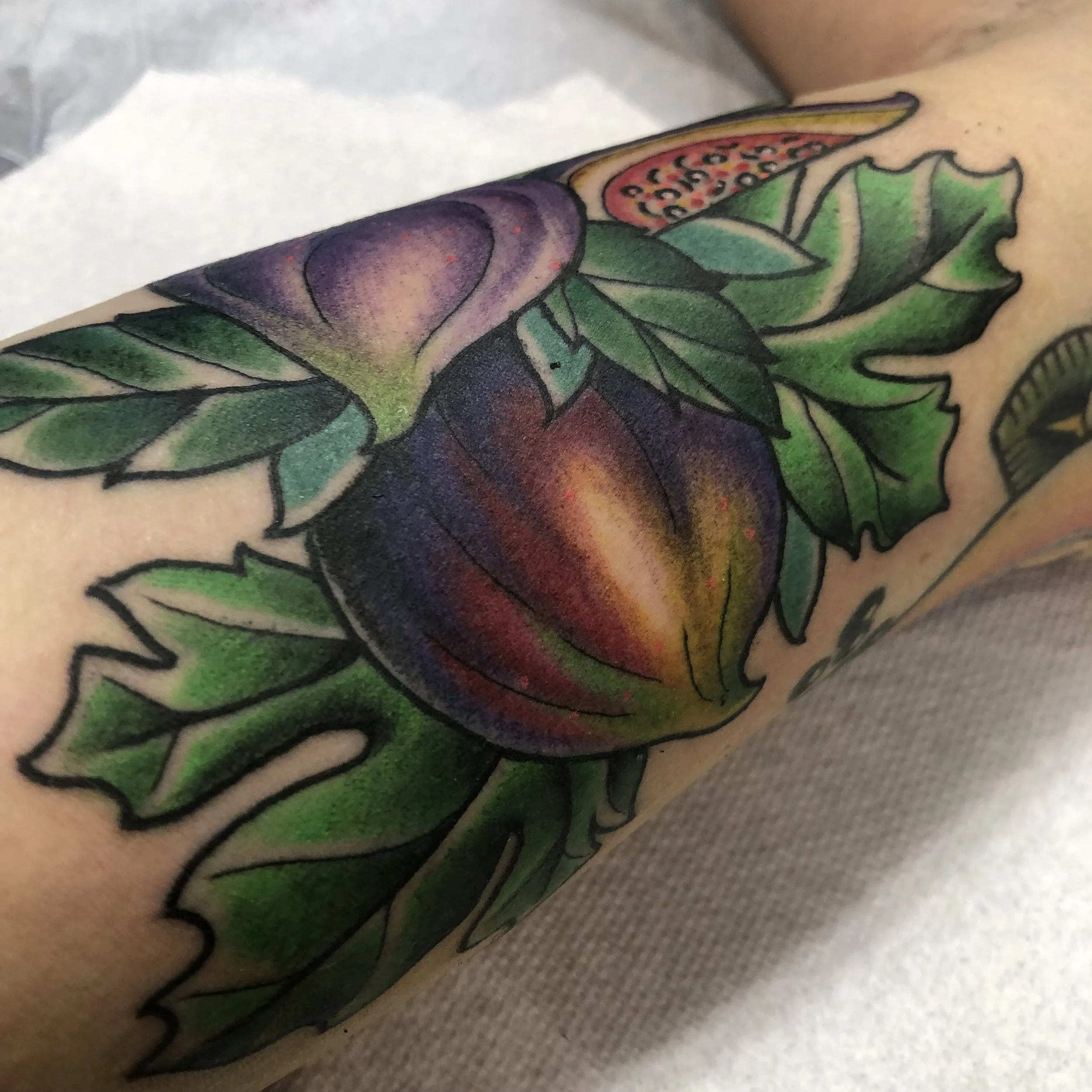 Colorful tattoo of figs with green leaves on person's arm.