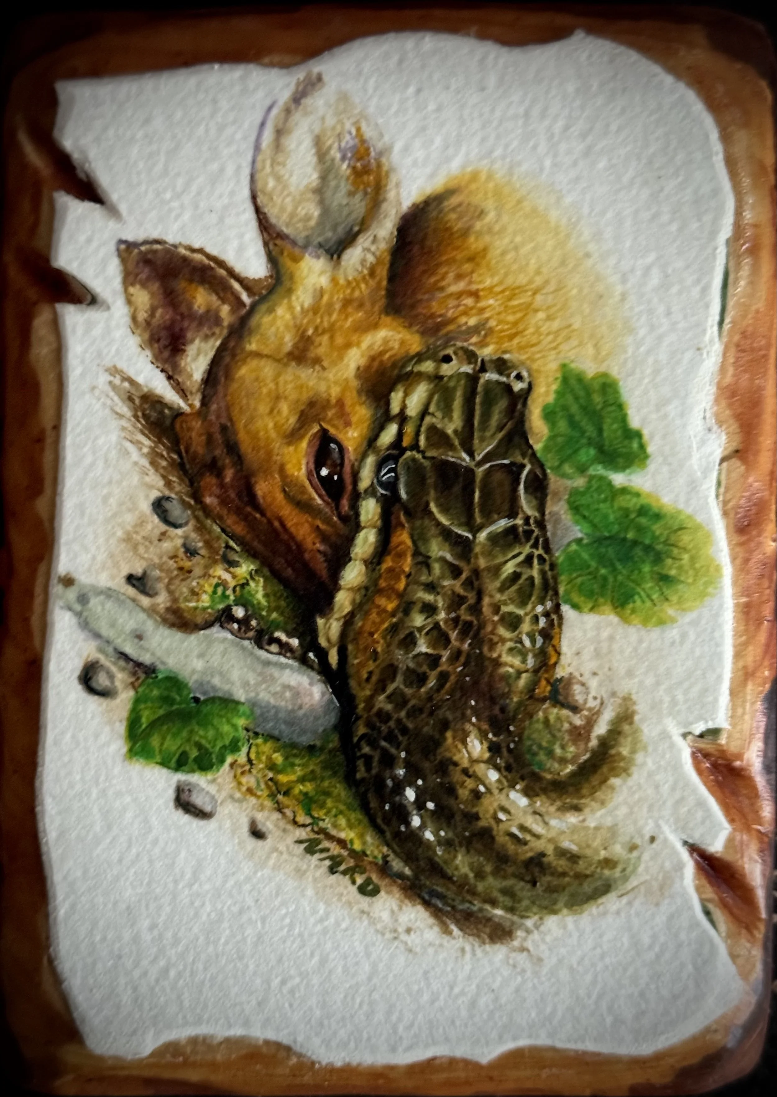 SNAKES Boa with Deer ORIGINAL