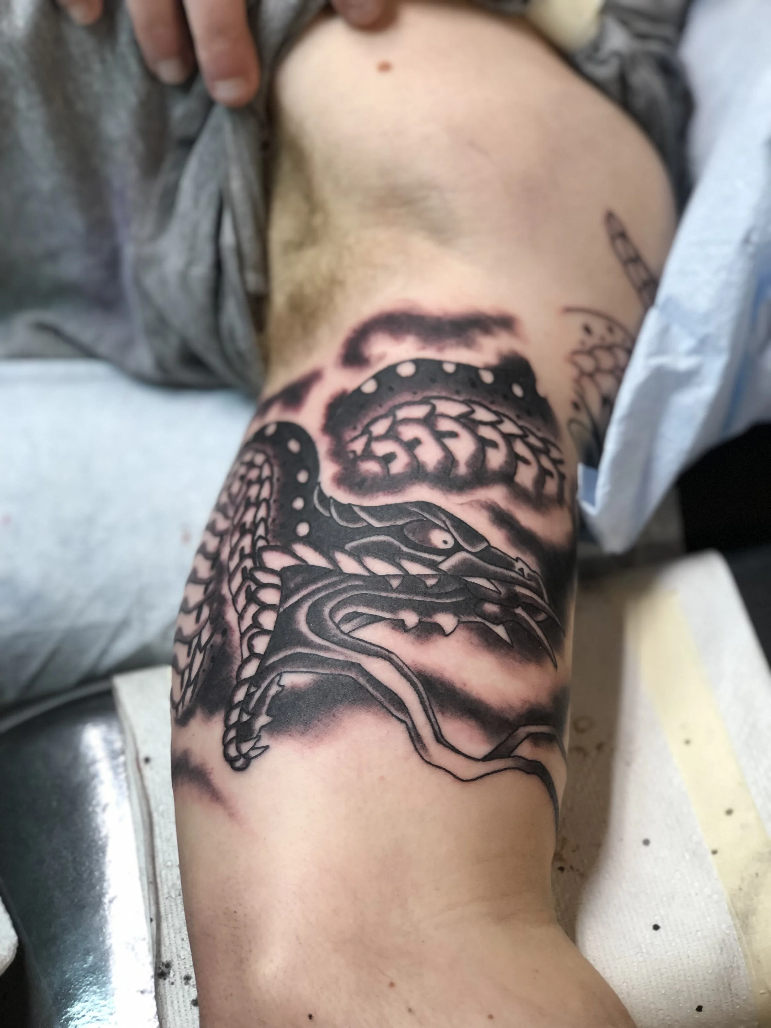 A black and gray snake inside the arm