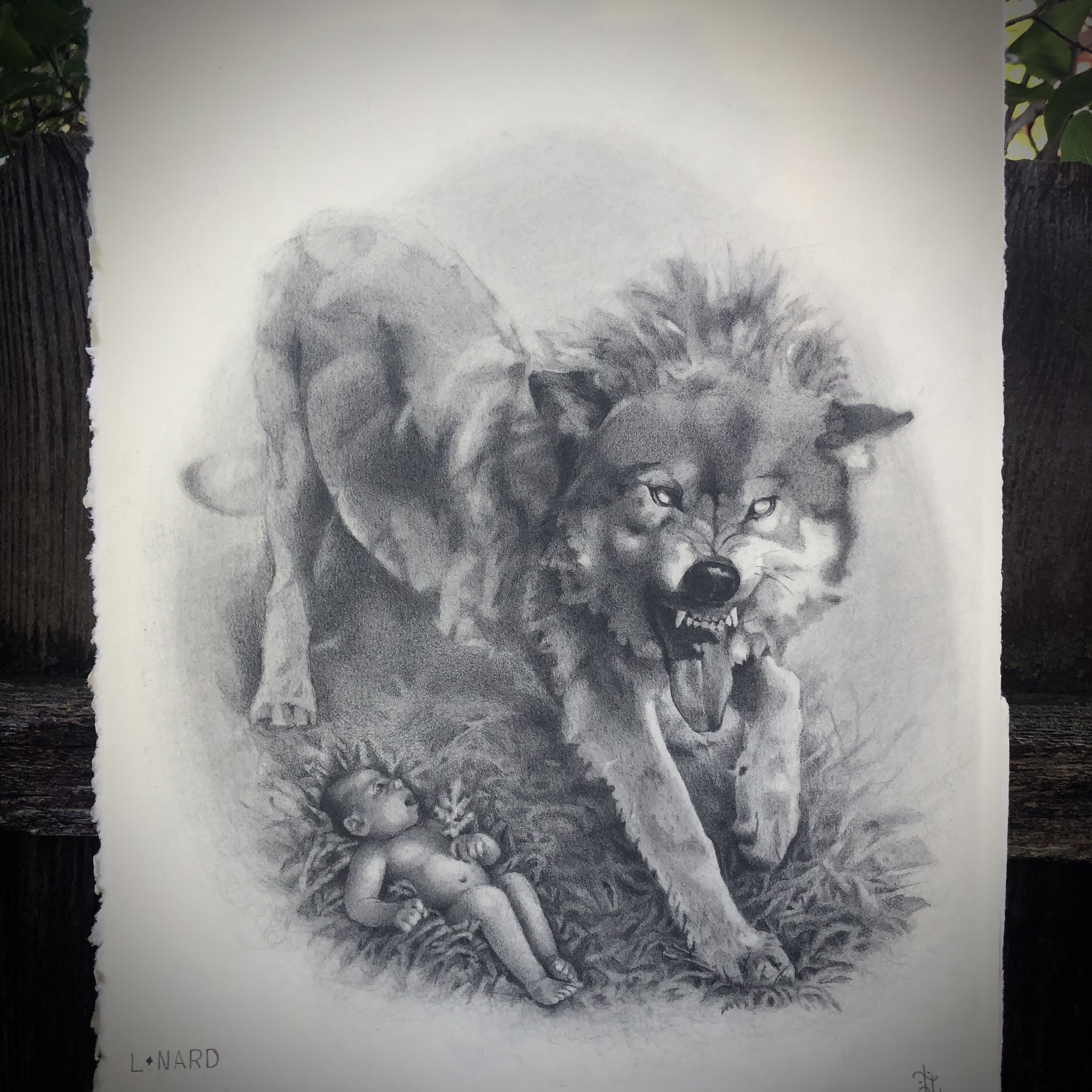 A detailed pencil drawing of a large fierce wolf with bared teeth and pointed ears, standing over a small, naked baby lying on the ground in a grassy outdoor setting.