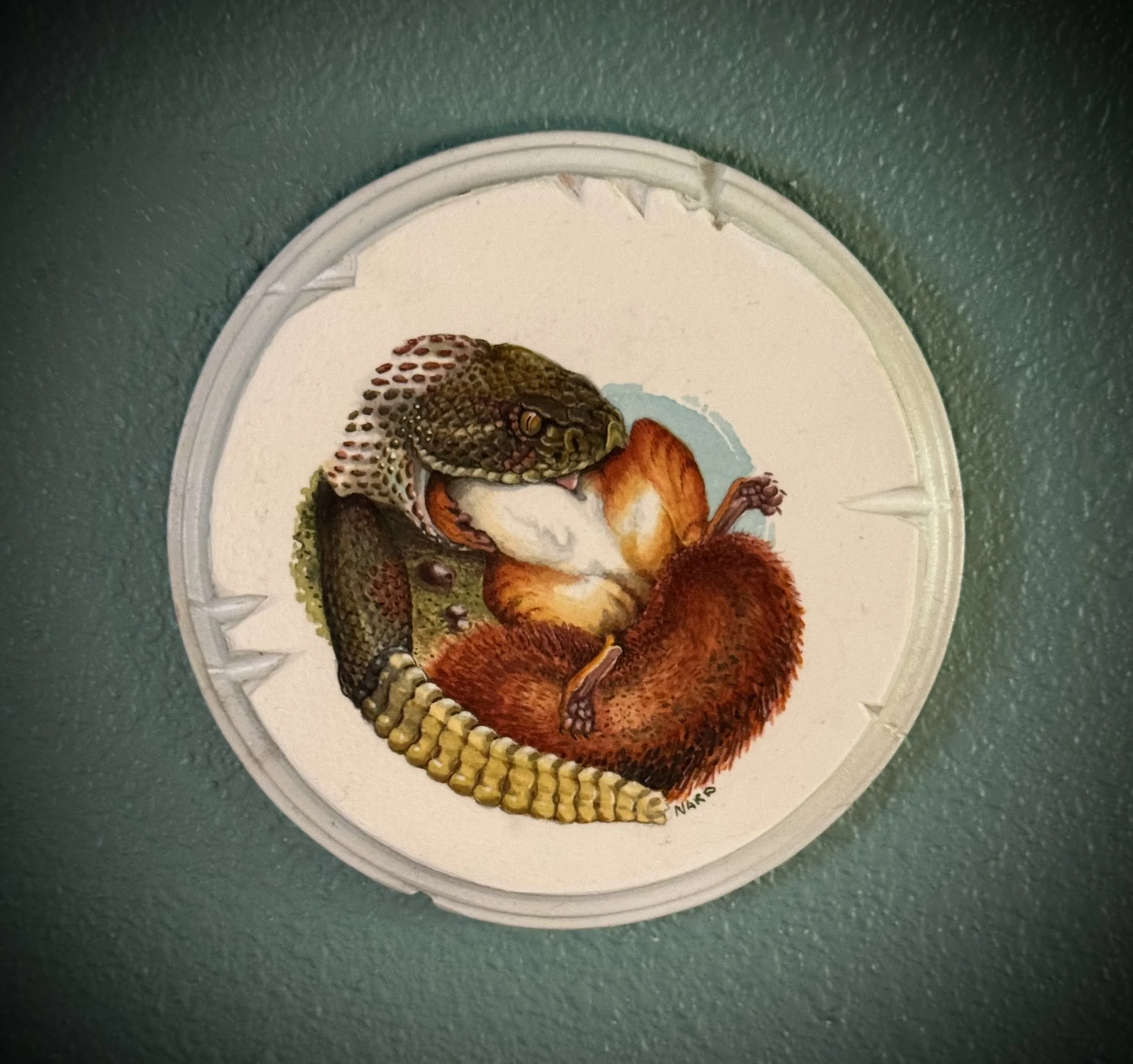 SNAKES Rattler and squirrel ORIGINAL