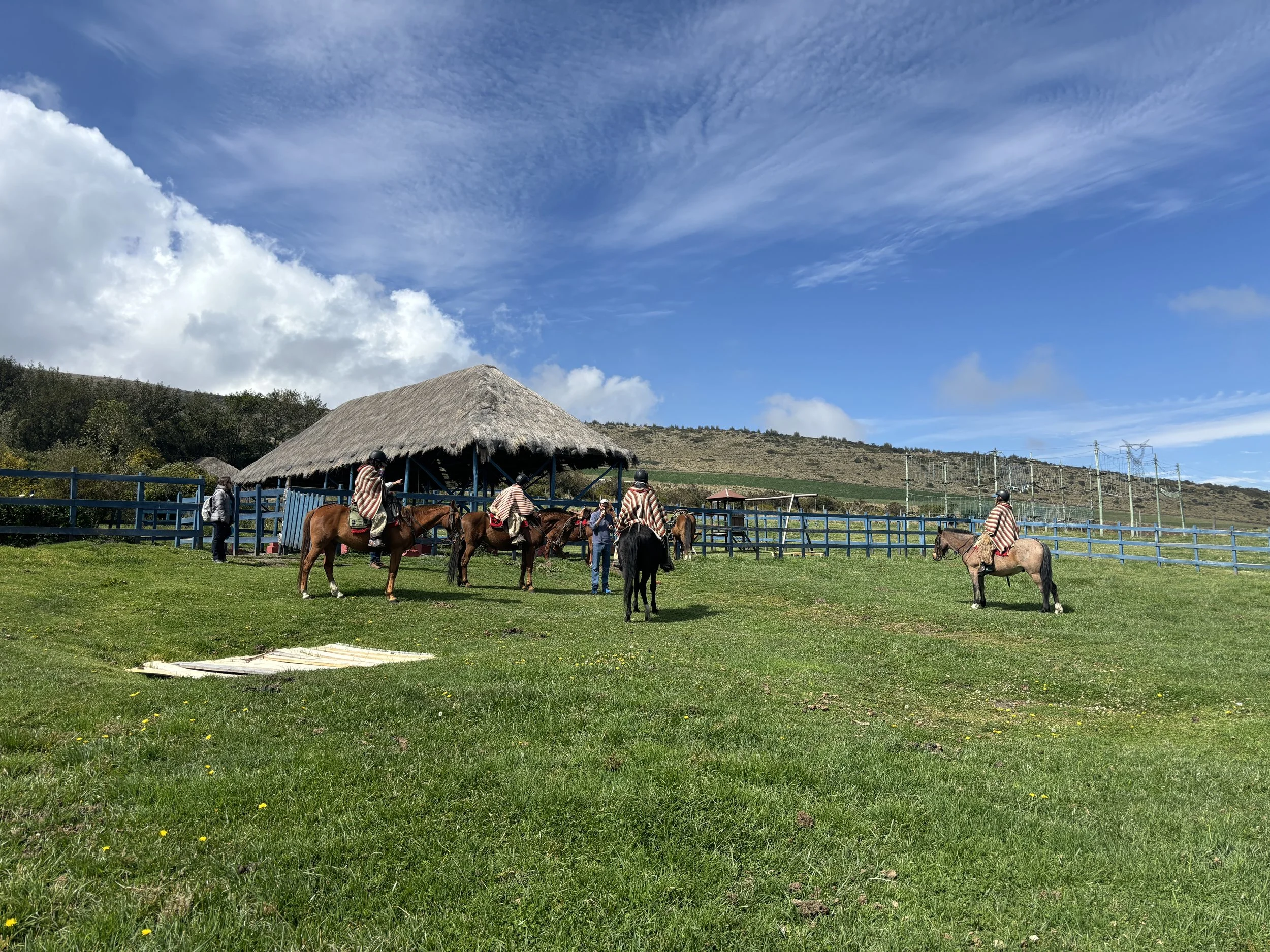 Horseriding.JPG