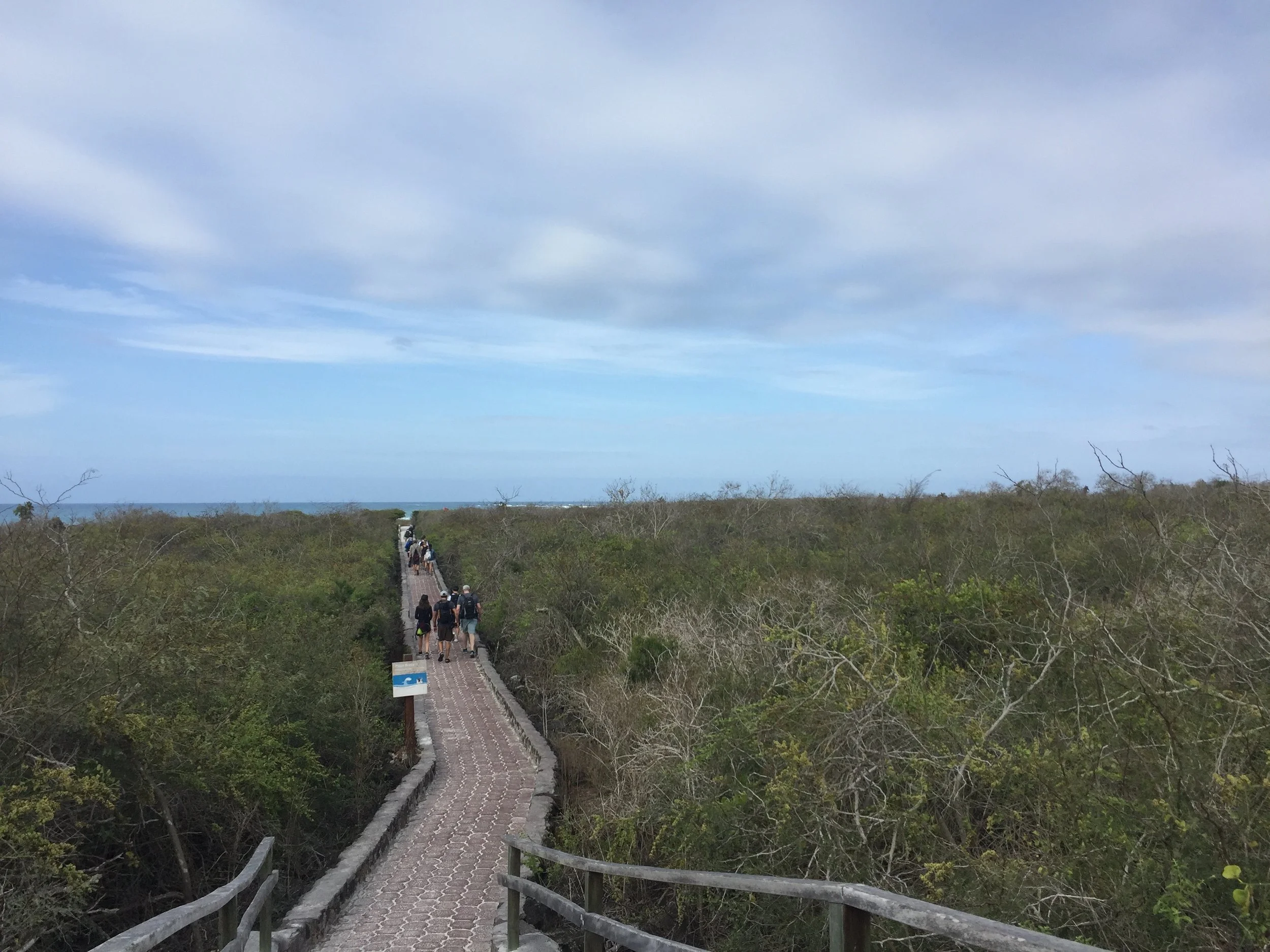 Tortuga Bay - Hiking in 4.jpeg