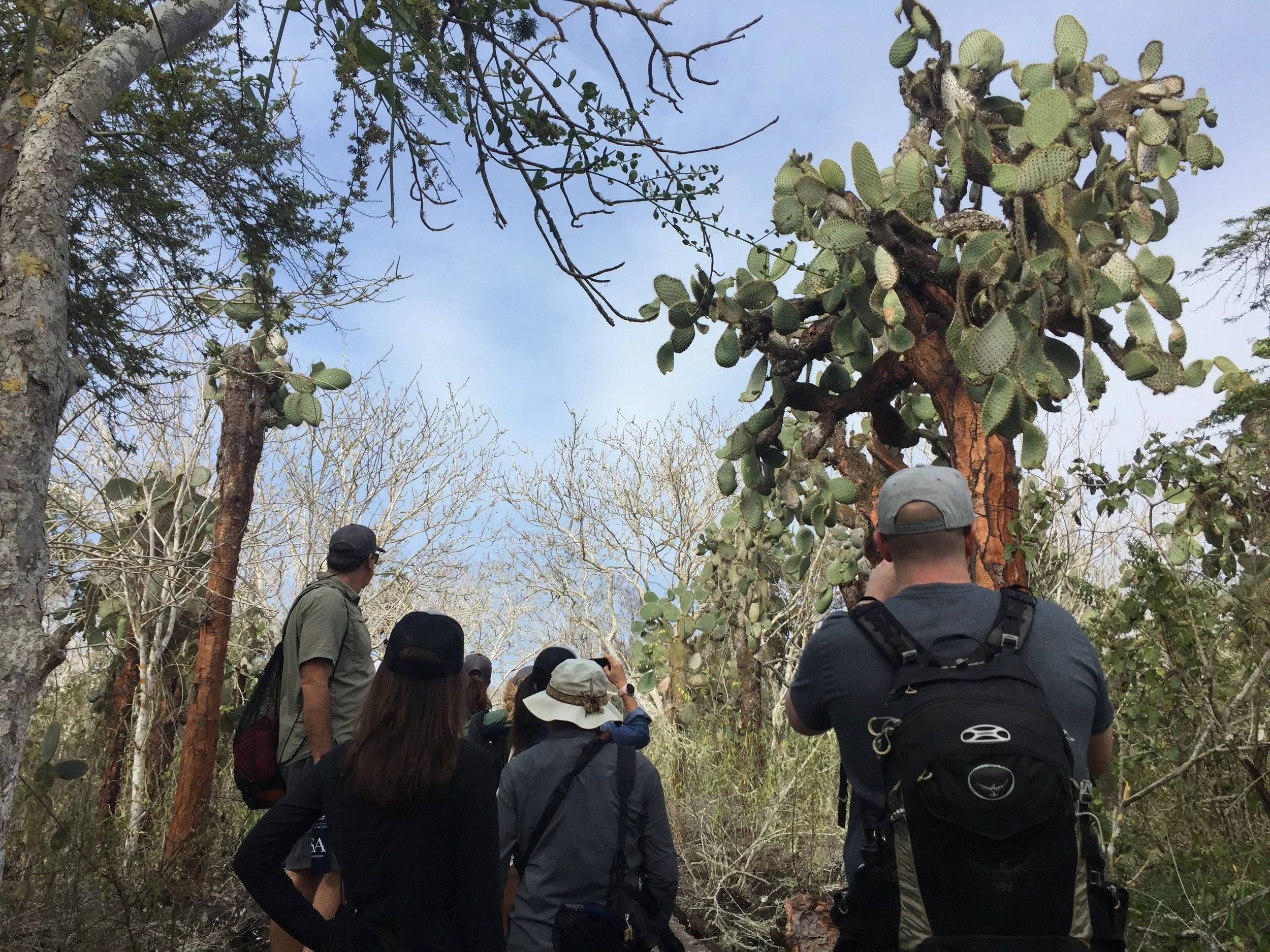 Tortuga Bay - Hiking in 1.jpeg