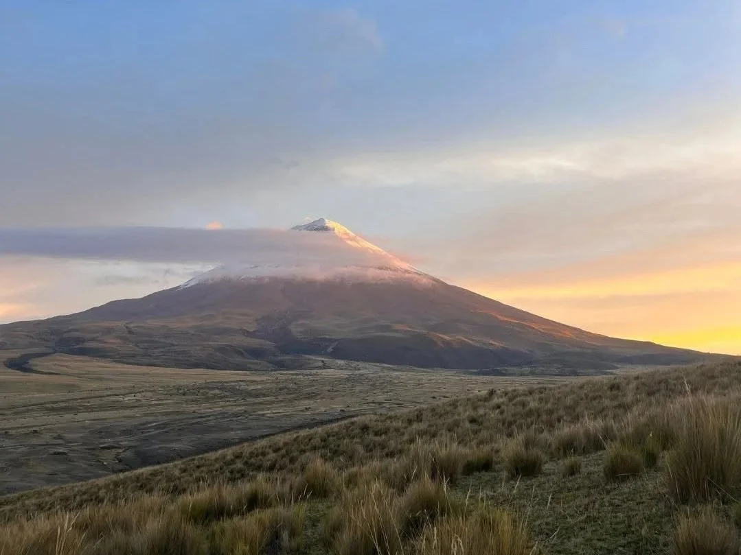 cotopaxi+-+la+cienega.jpg