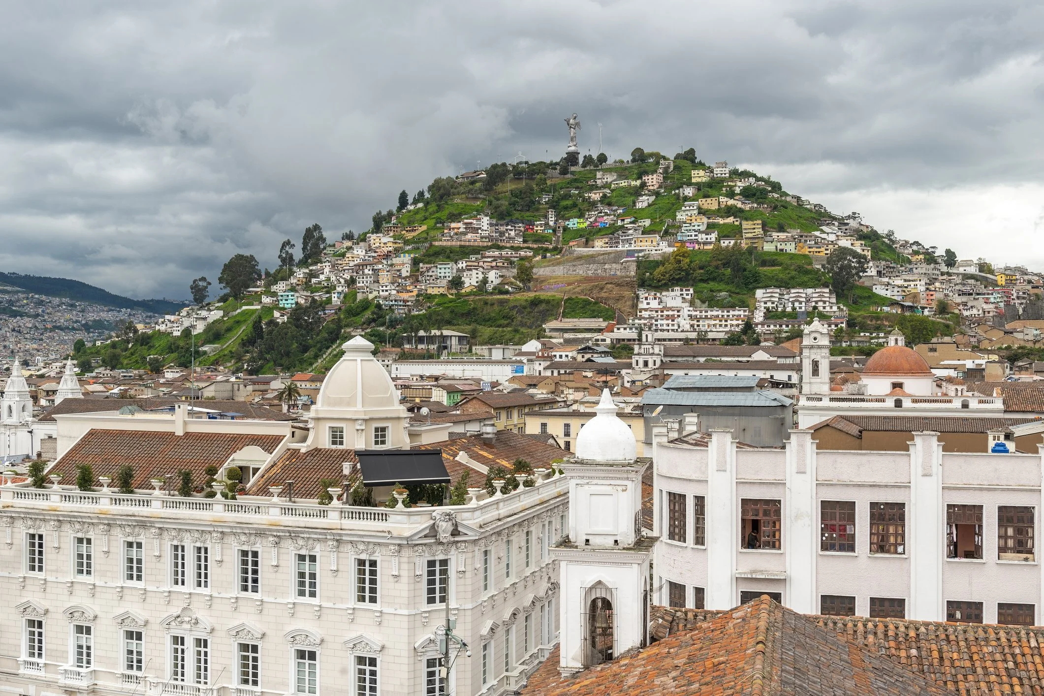 iStock-1894753530.jpg