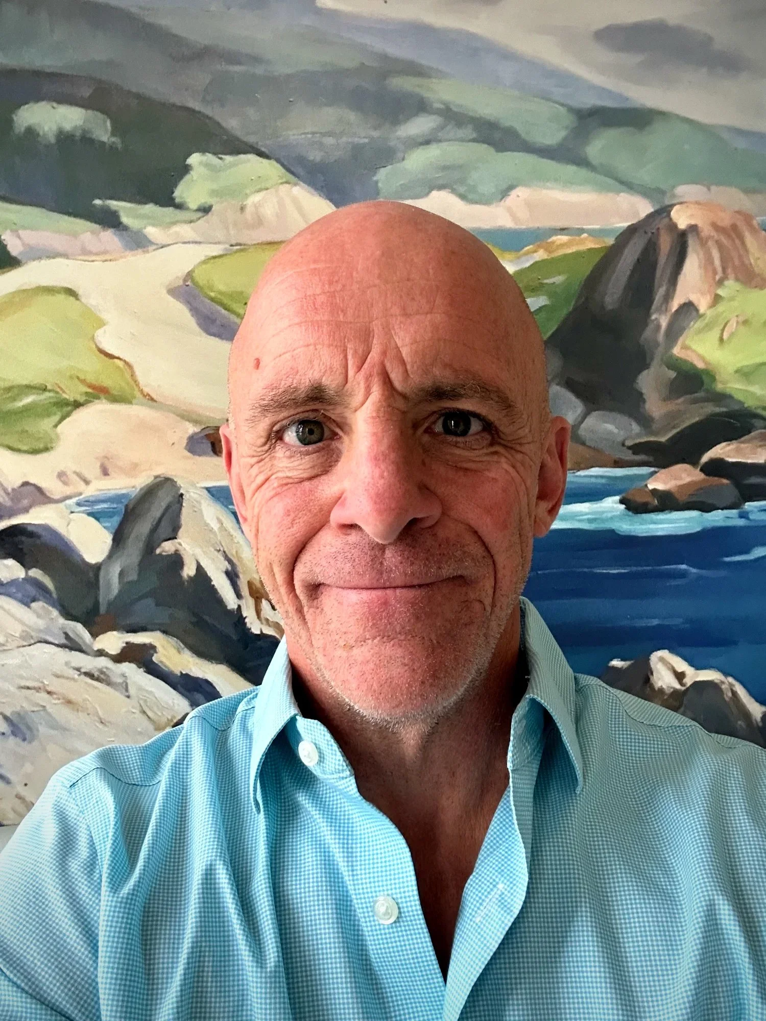 A man with a bald head and blue eyes taking a selfie in front of a landscape painting of mountains, water, and rocks.