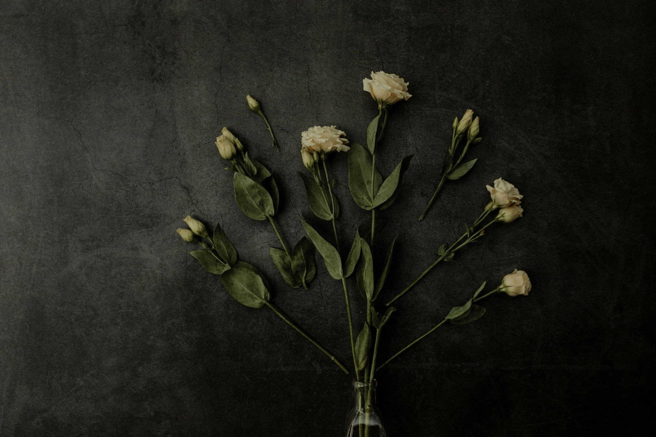Fleurs blanches avec feuilles vertes dans un vase en verre, posées sur une surface sombre