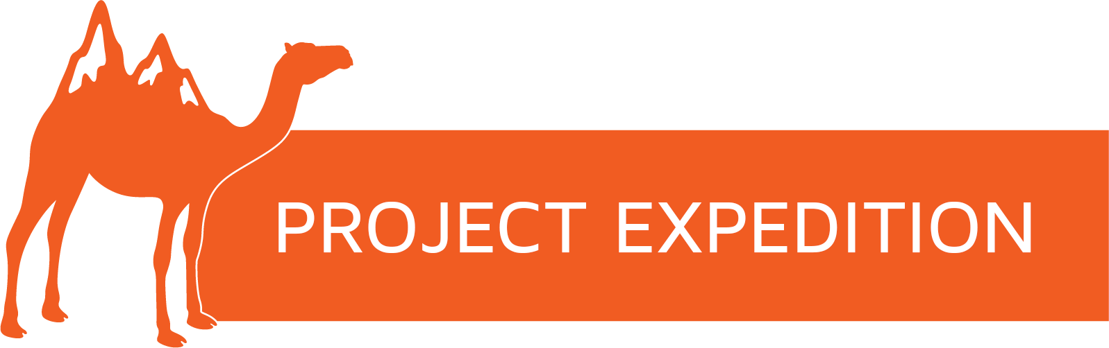 itle:

Project Expedition

Body (The Perks & Description):

Enhance your journey with thousands of hand-picked excursions, local tours, and private transfers across the globe. While I architect your overall itinerary, Project Expedition serves as the