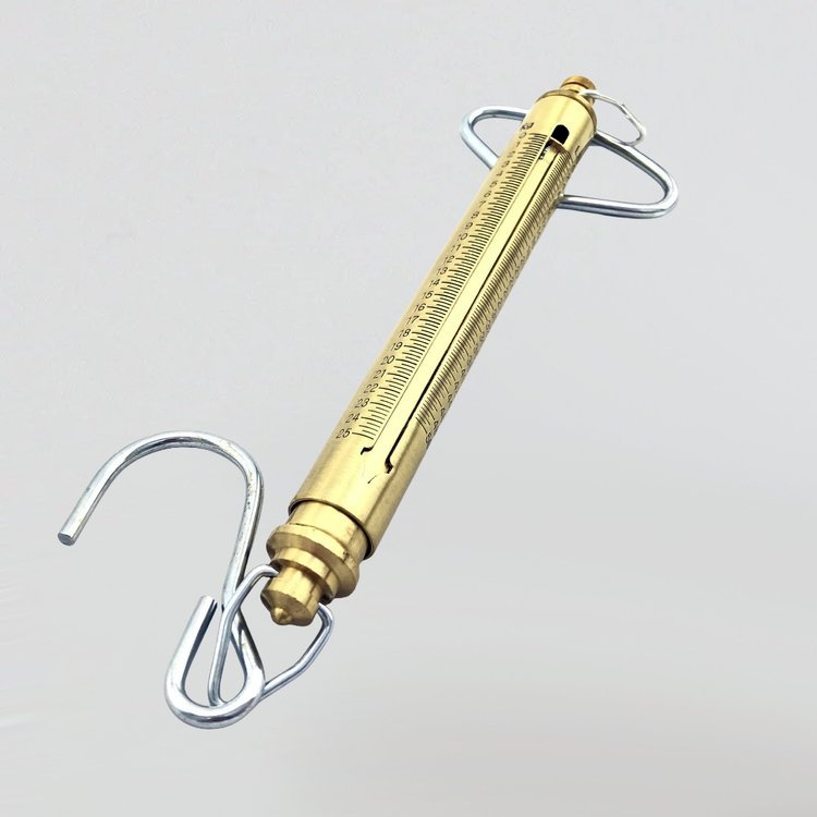 SPRING SCALE, 10 LB