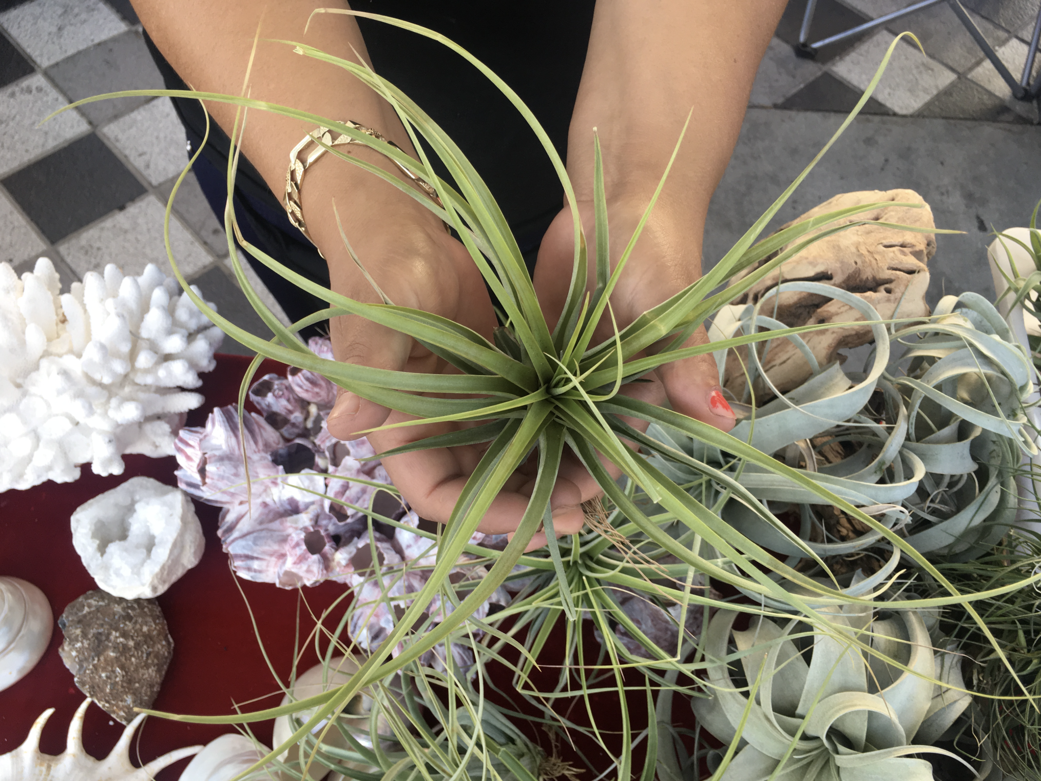 Screenshot 2026-02-10 at 10.27.01 AM.png