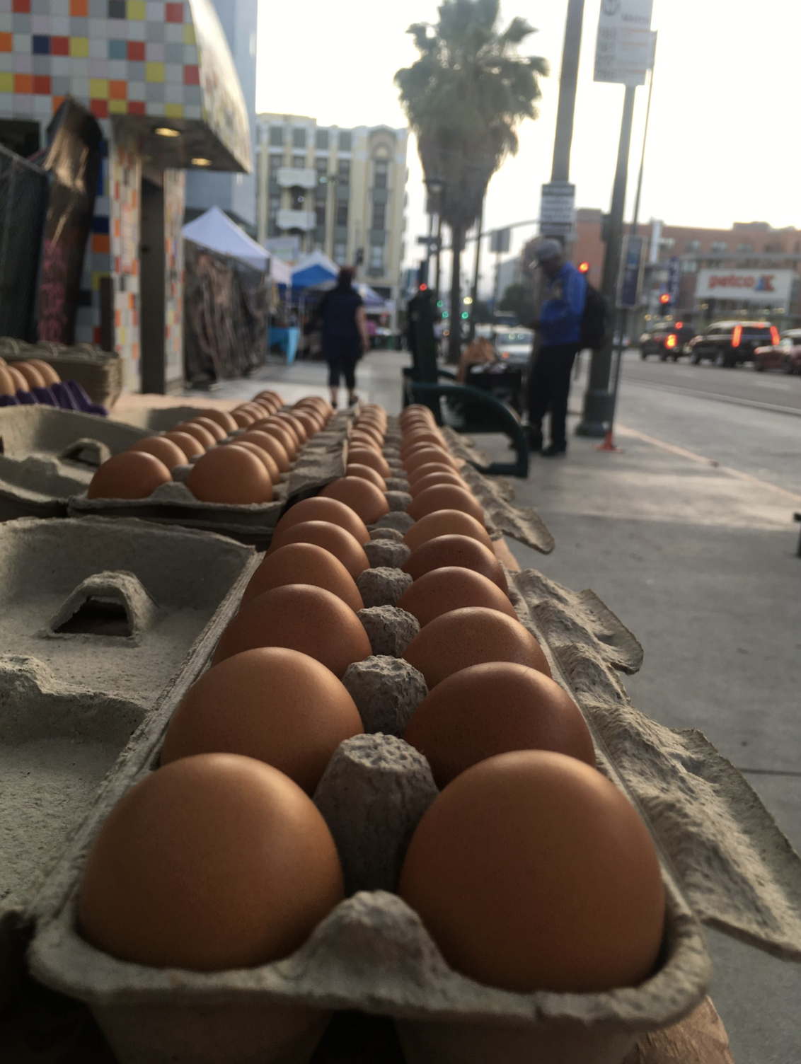 Screenshot 2026-02-10 at 10.27.07 AM.png