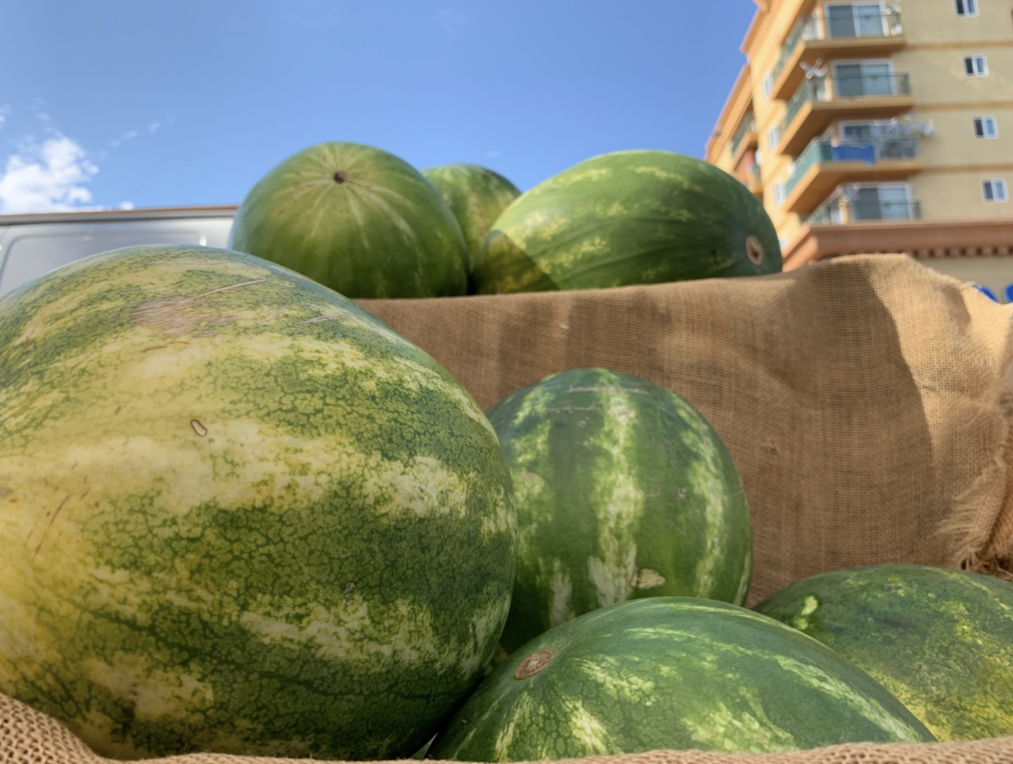 Screenshot 2026-02-10 at 10.27.17 AM.png