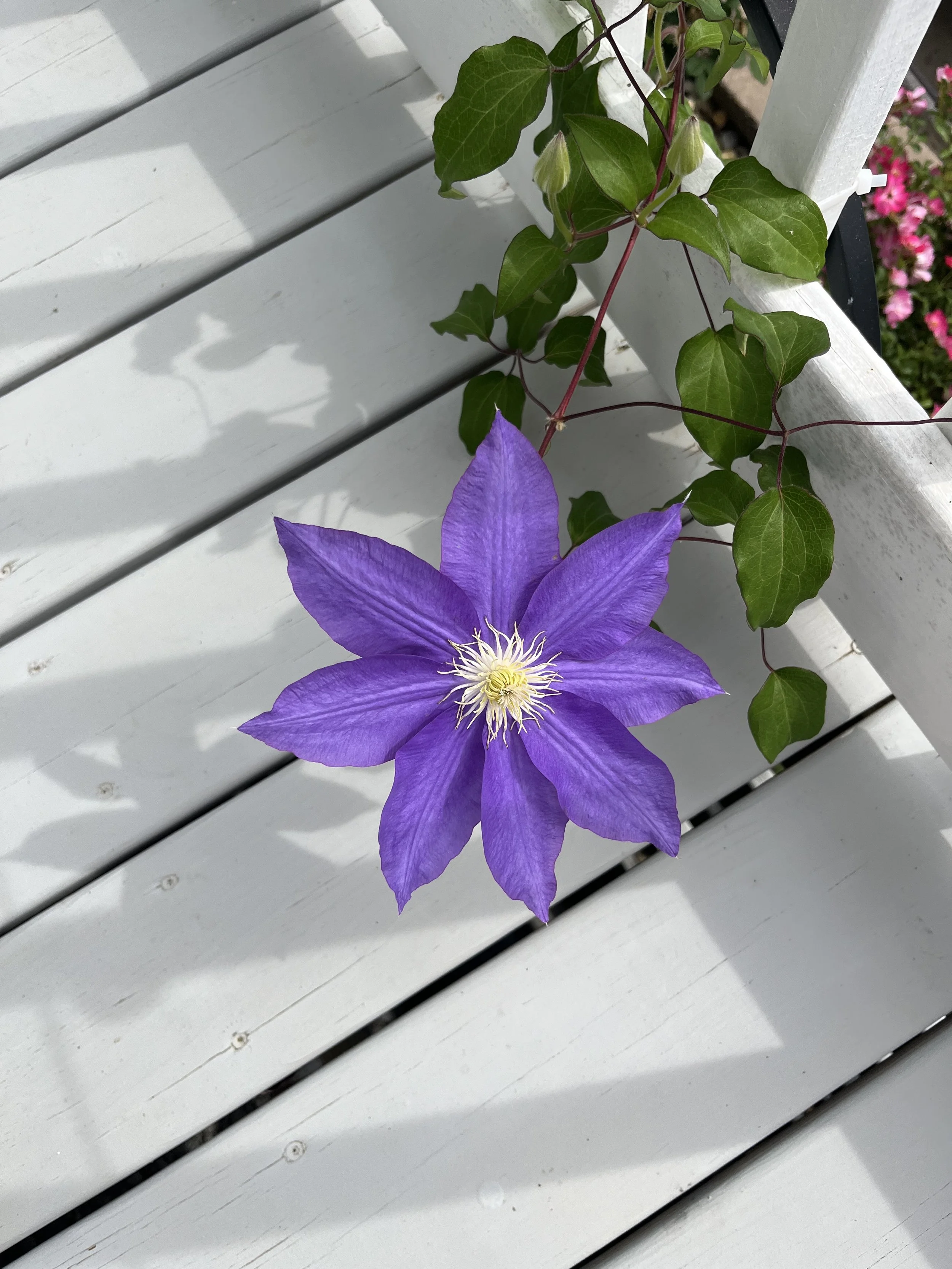 The Benefits of Reiki (Real Talk)