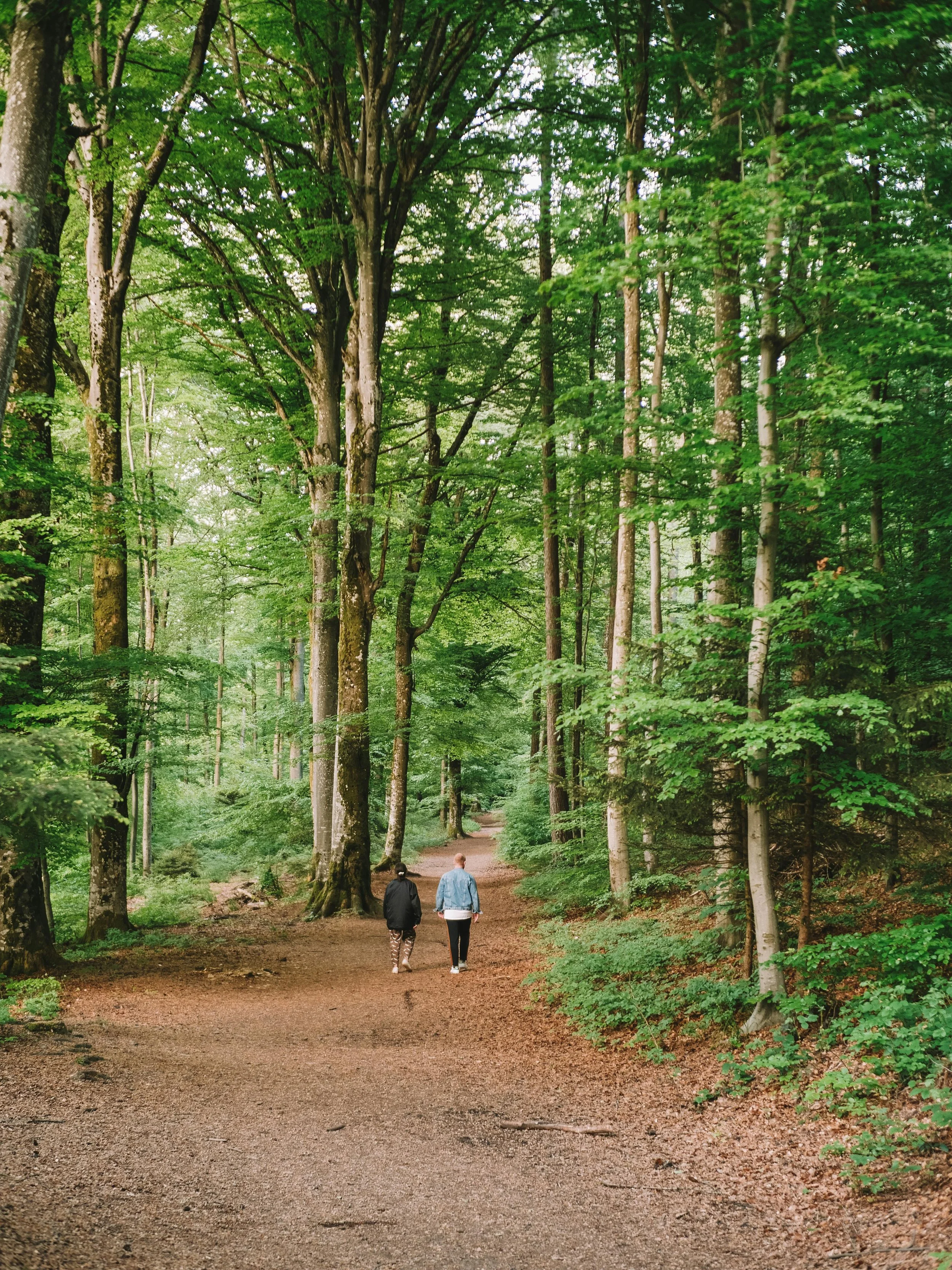 Walking Side by Side: A Different Way to Experience Therapy