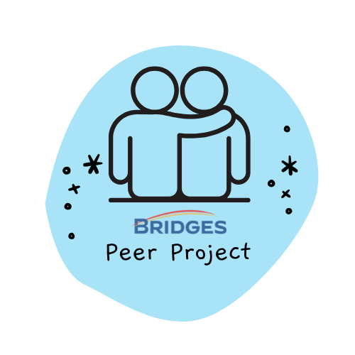 Peer Project Summer Camp