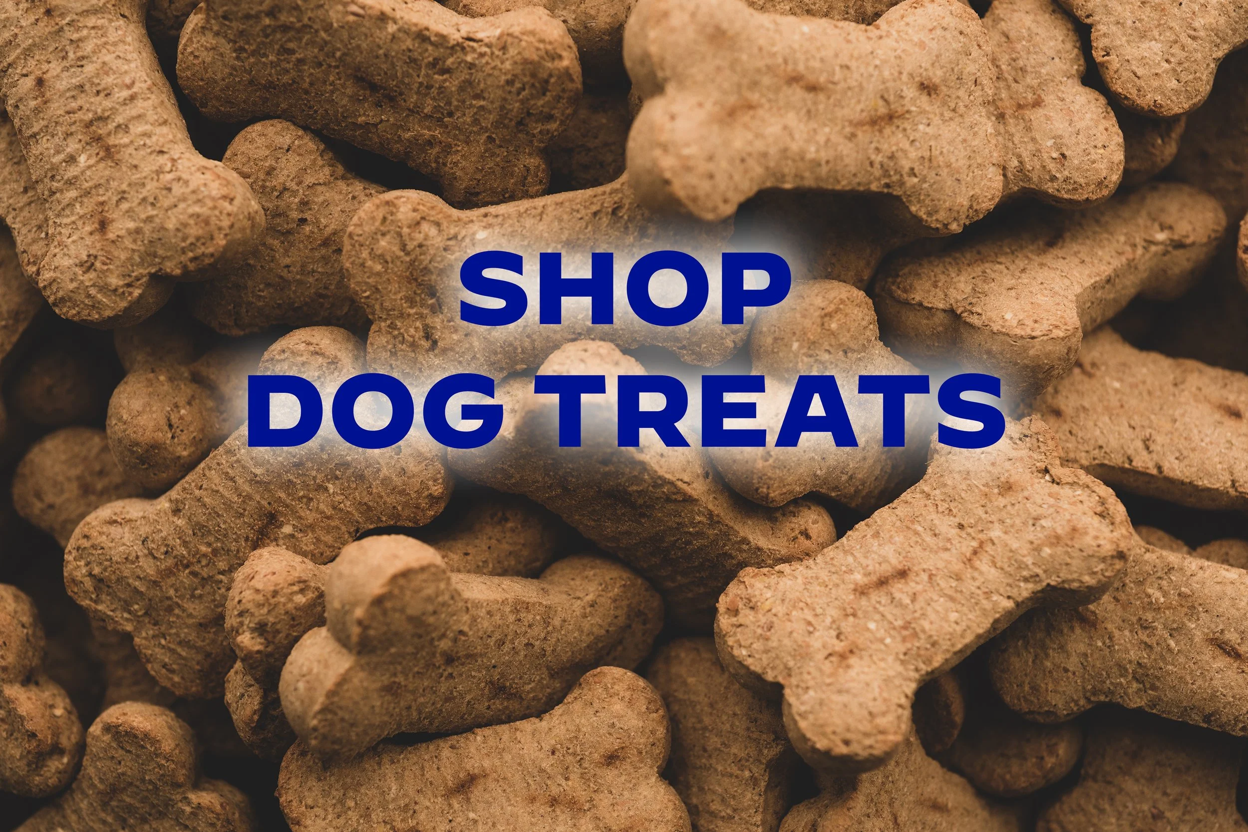 Dog Treats