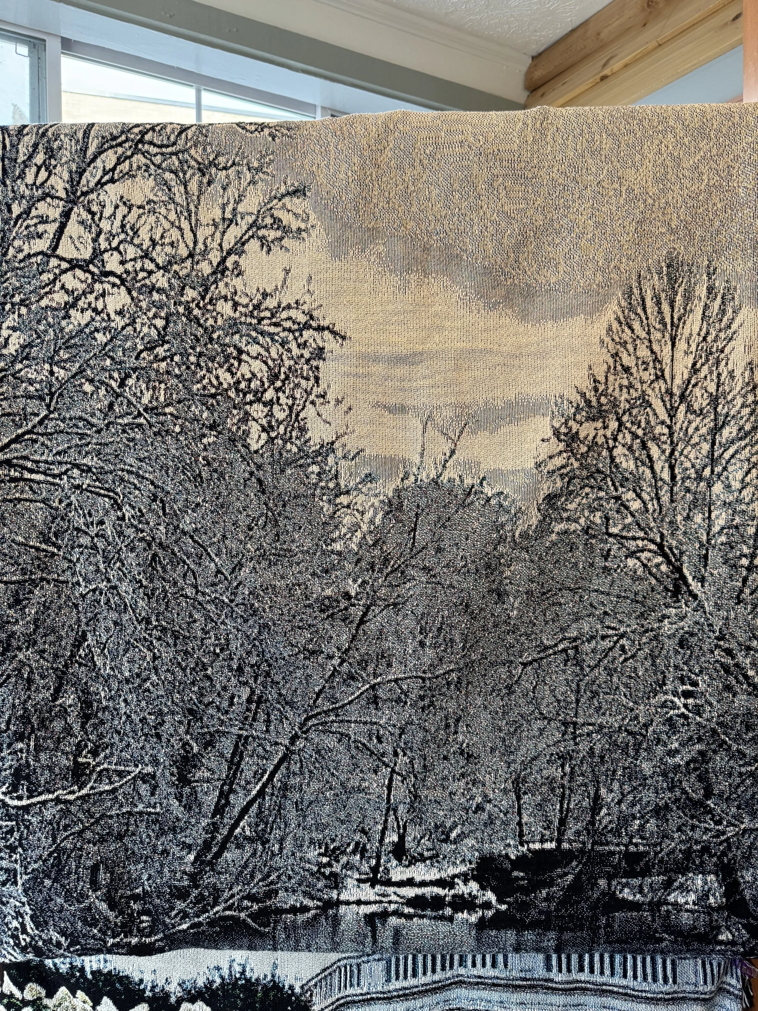IMG_1824.jpeg