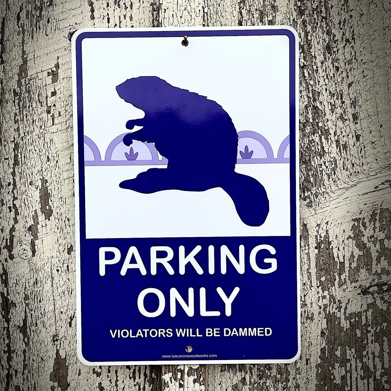 Metal_Parking_Sign_-_Beaver_2__71852.jpg