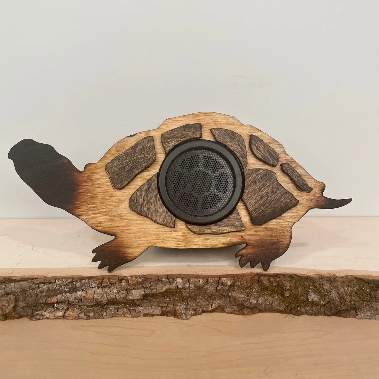 WIRELESS-CLAN-TURTLE__03972.jpg