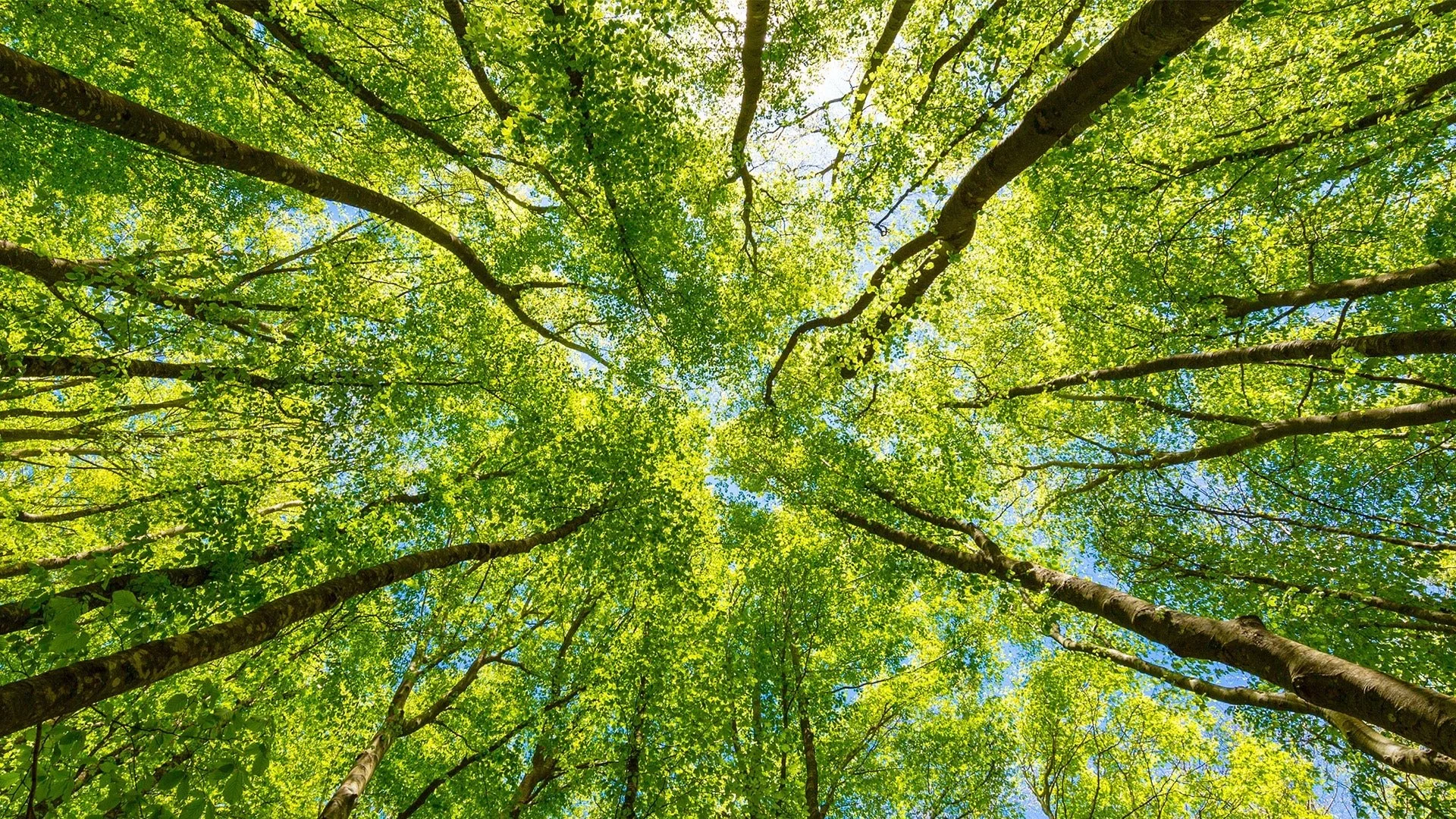 My Thoughts &amp; News