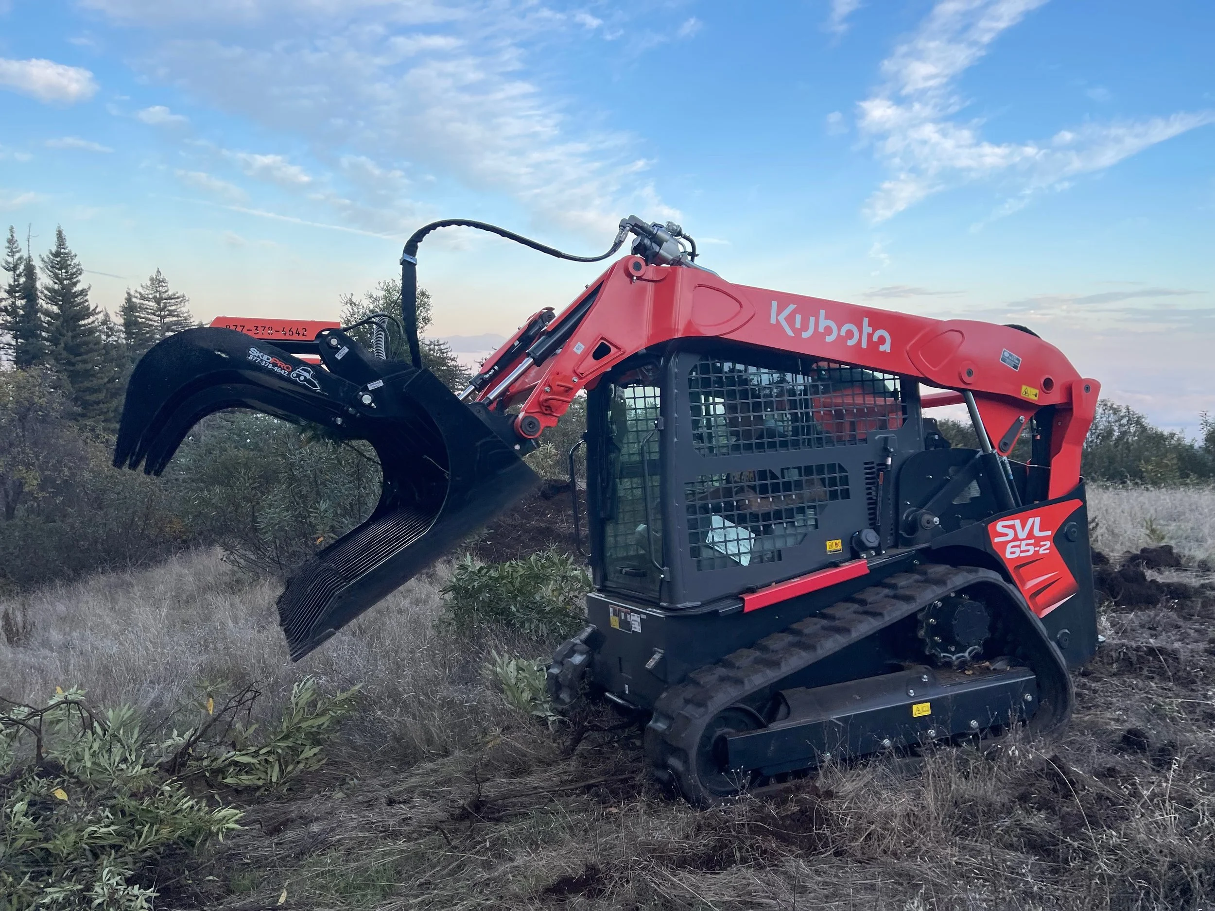 Root and Slash Removal