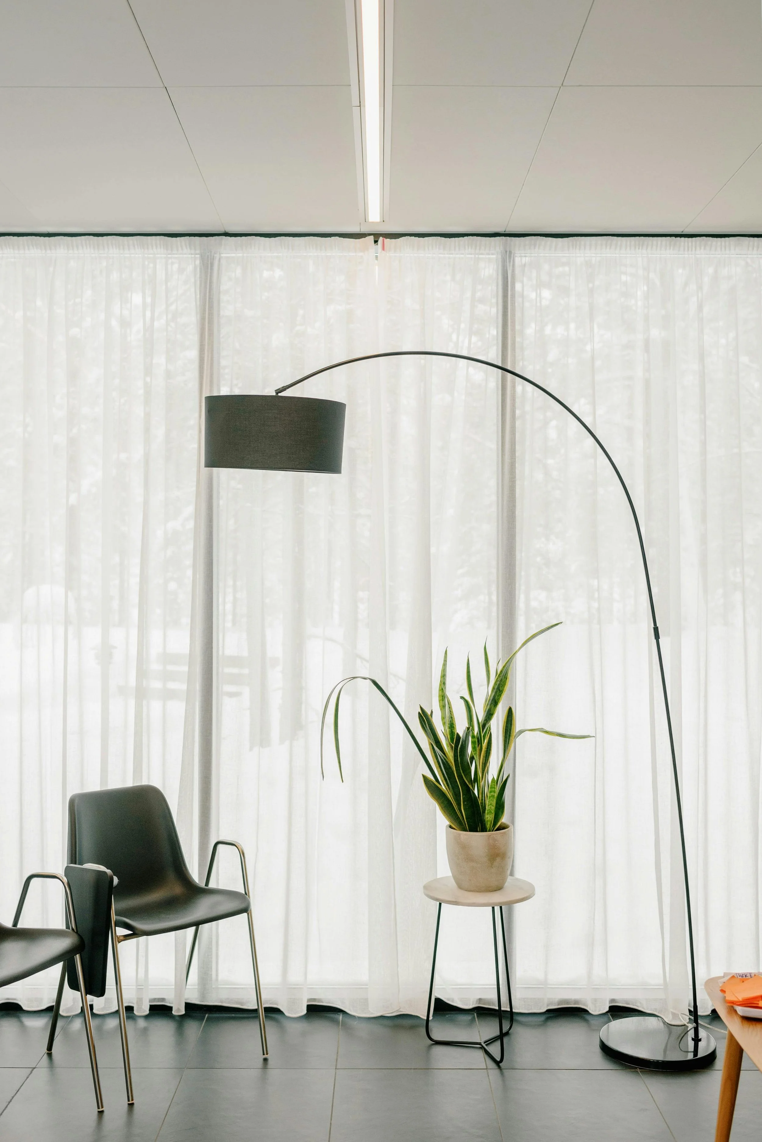Interior office space with black chairs, a potted plant on a small table, and a tall arc floor lamp in front of sheer white curtains.