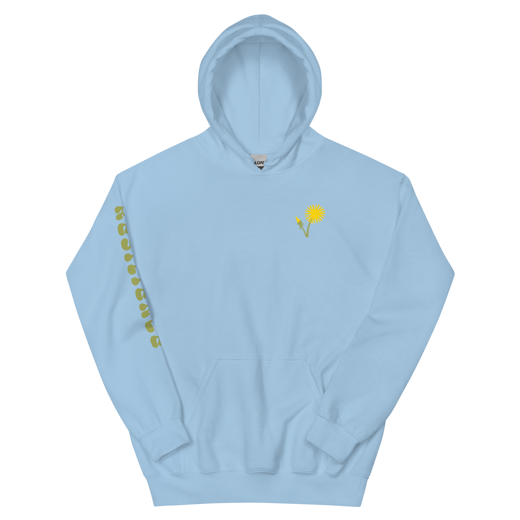 unisex-heavy-blend-hoodie-light-blue-front-6975649a12d65.png