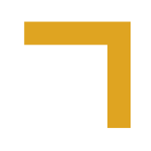 Yellow border to enhance the image.