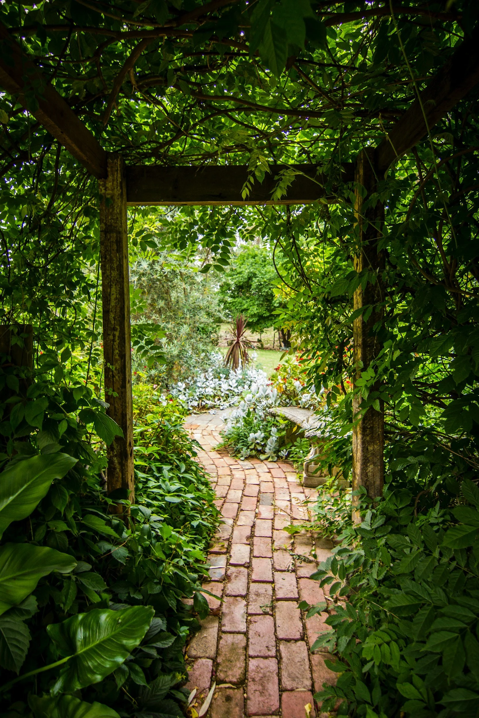 A brick pathway leading through a green garden with lush foliage and various plants, viewed through a wooden trellis covered with leaves.