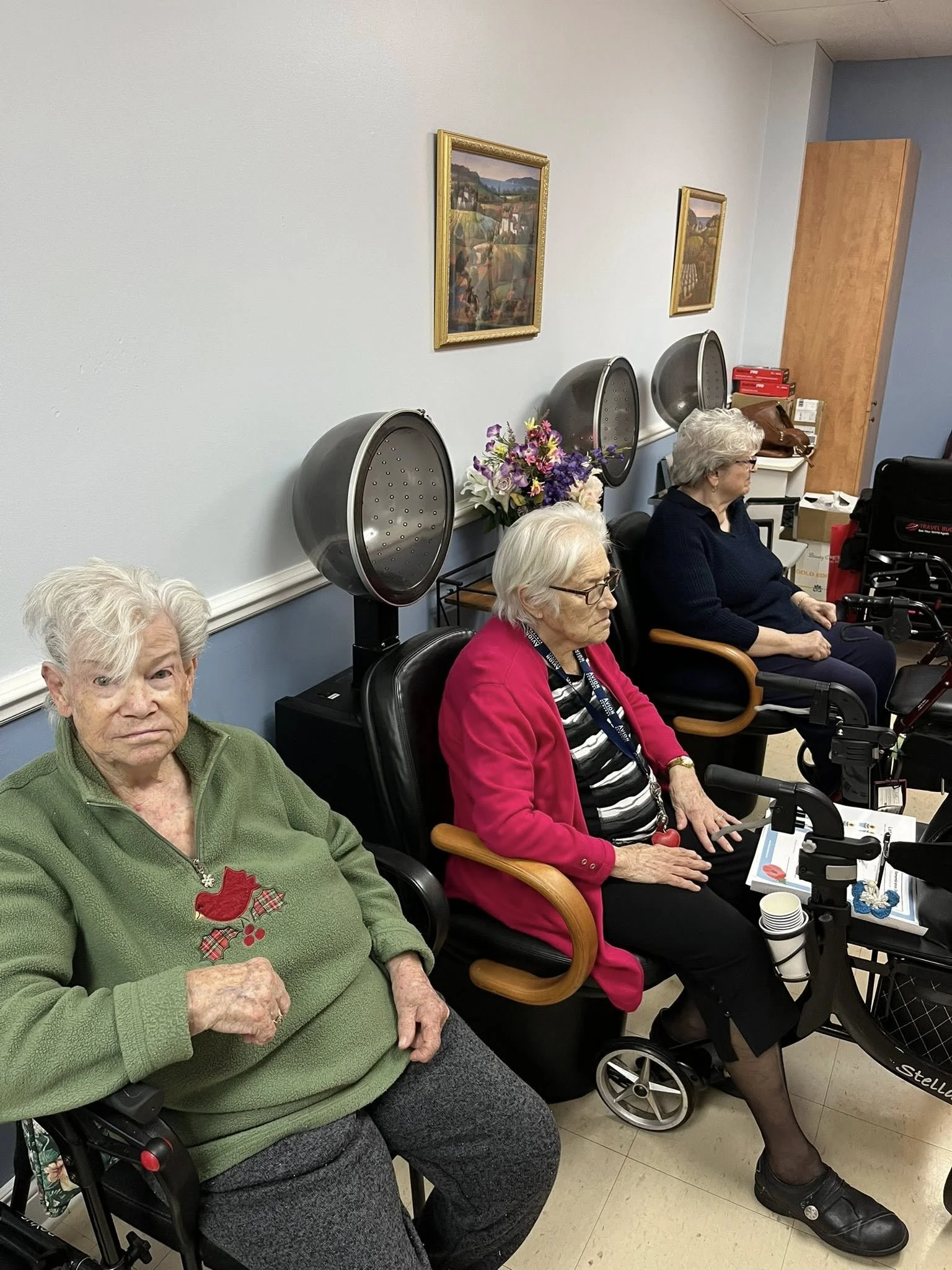 Three elderly women sitting in a salon or spa, with hair drying stations behind them, flowers, paintings, and boxes visible in the background.