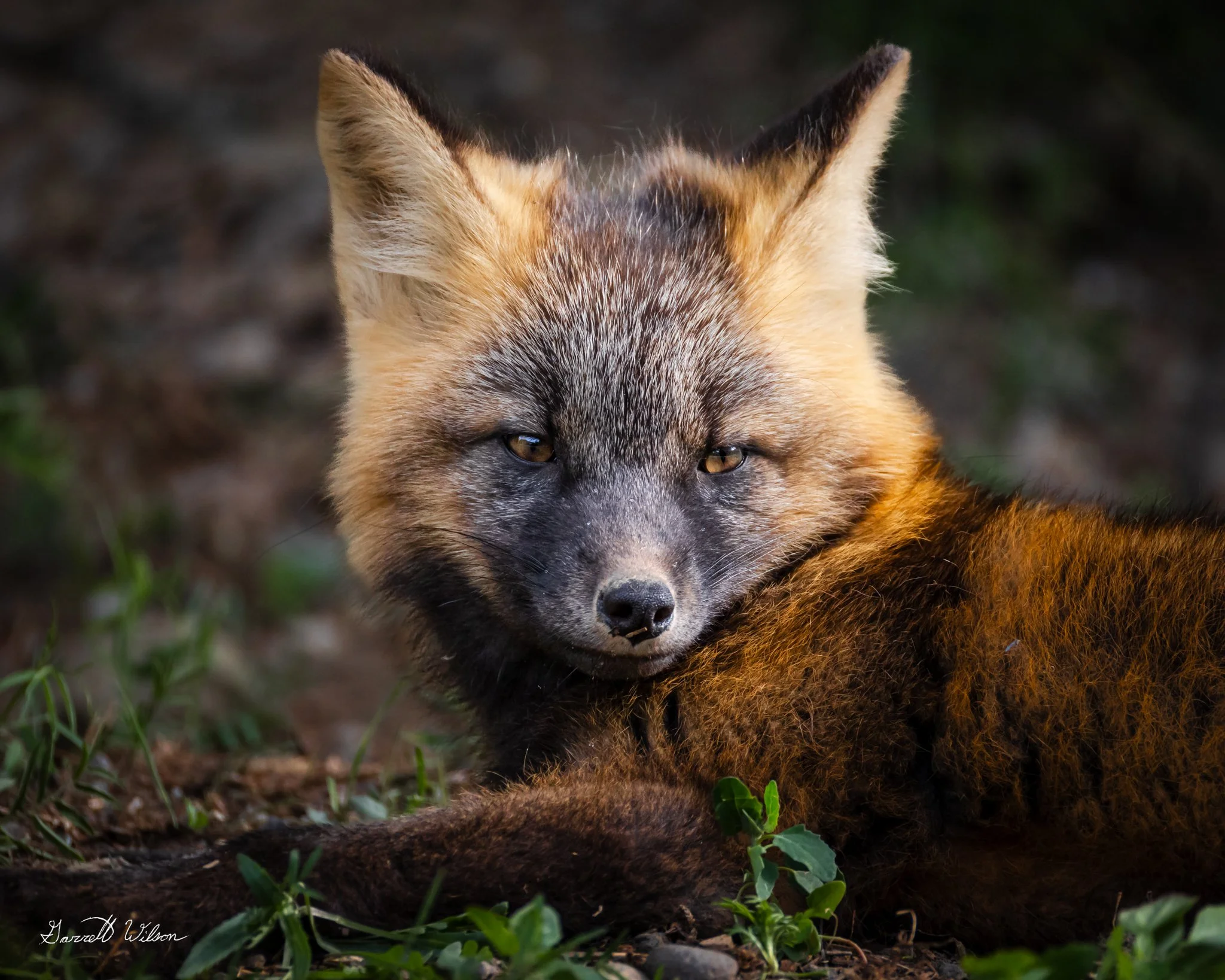 Canon EOS R6 5472x3648_000201.jpg