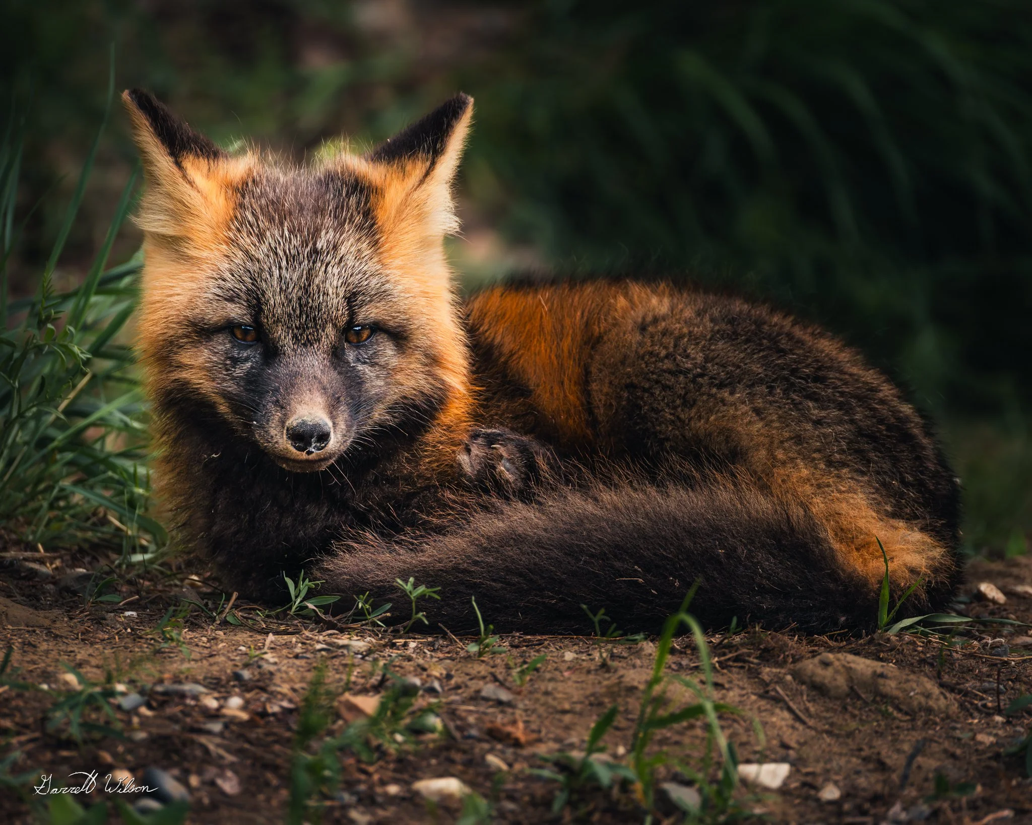 Canon EOS R6 5472x3648_000770.jpg
