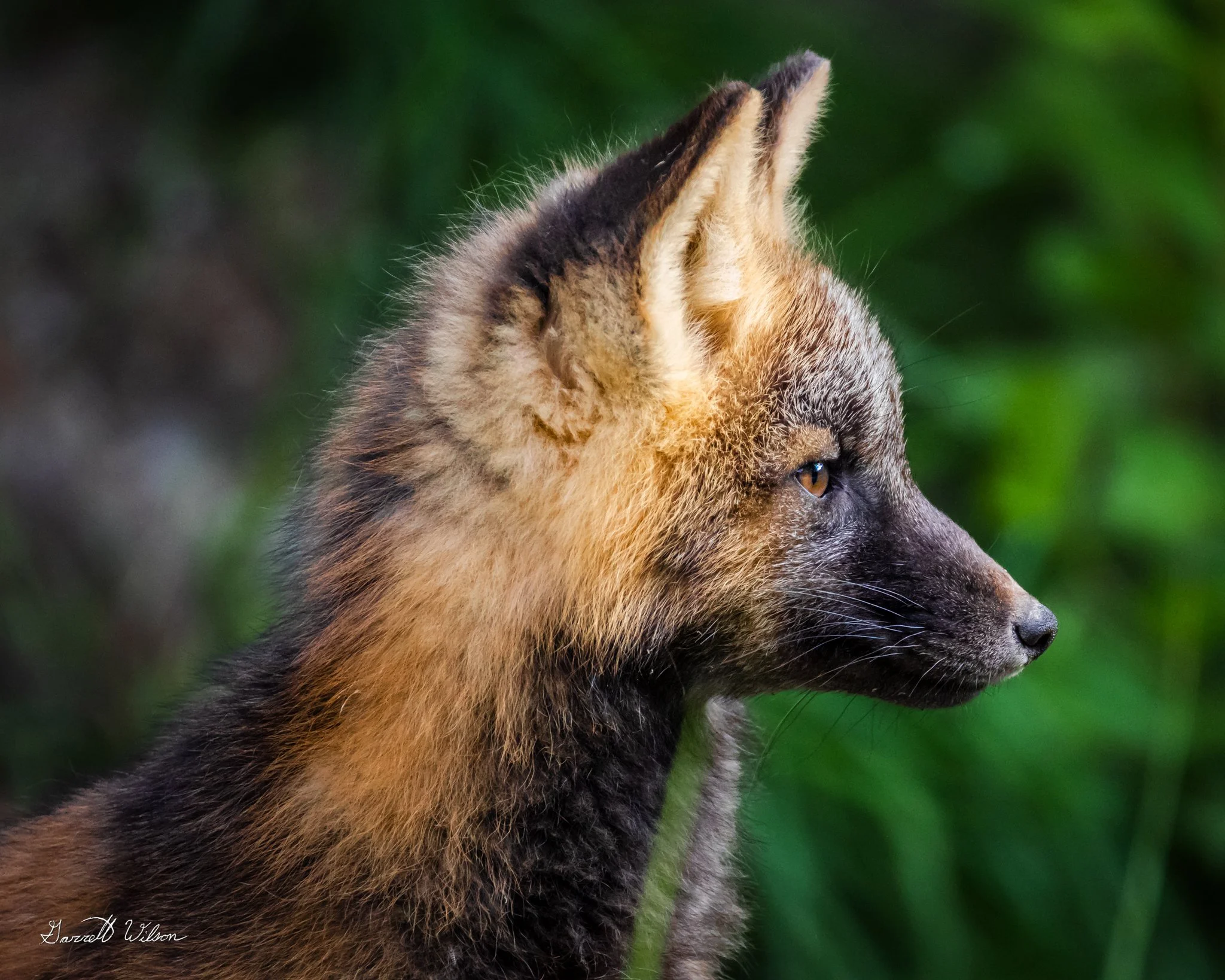 Canon EOS R6 5472x3648_000342.jpg