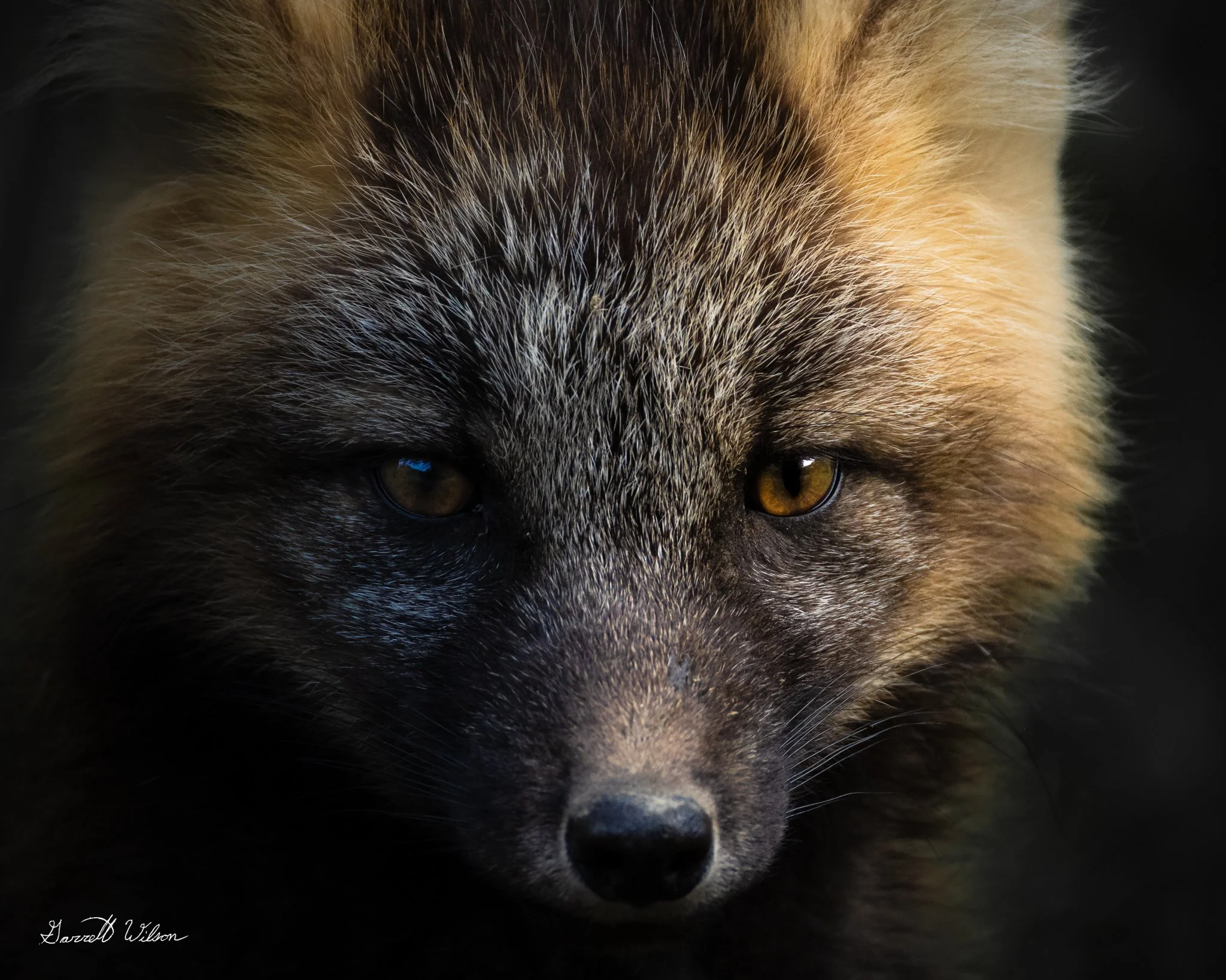 Canon EOS R6 5472x3648_001054.jpg
