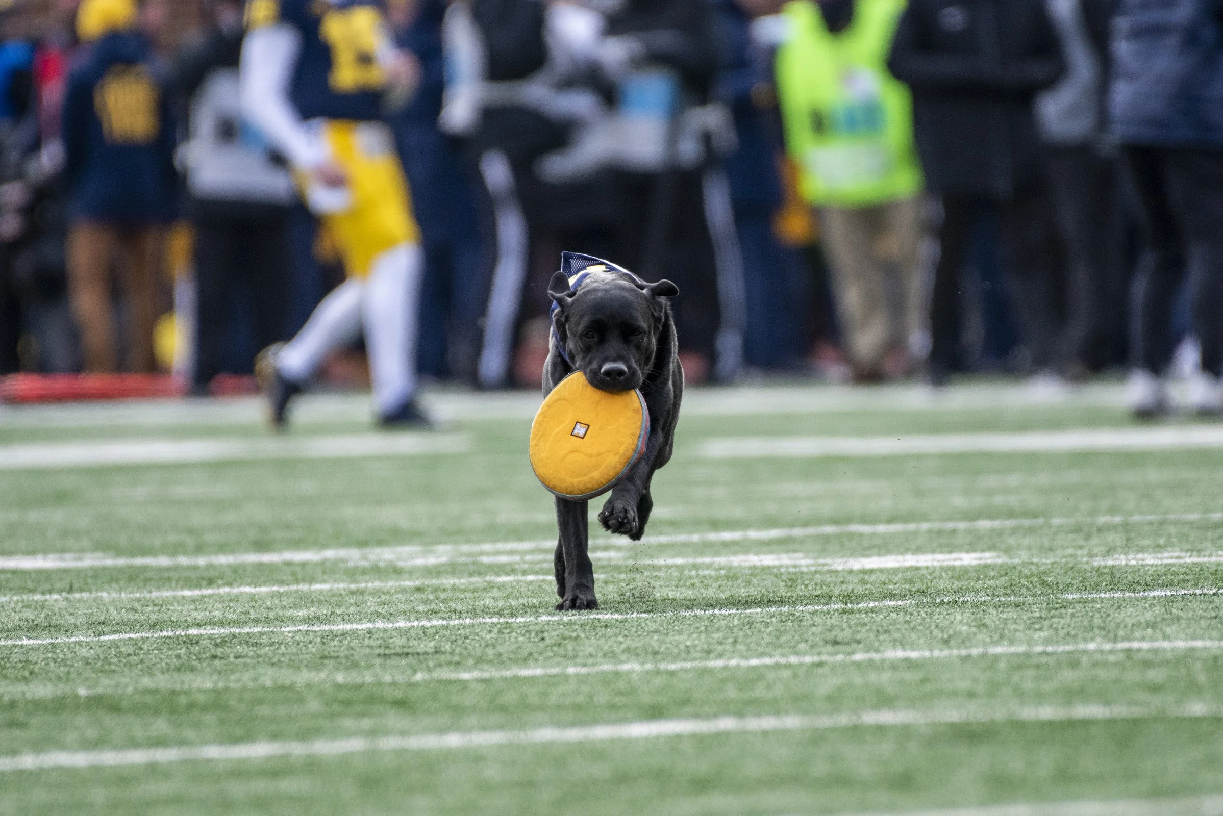 2022_FB vs Illinois_0038.jpg