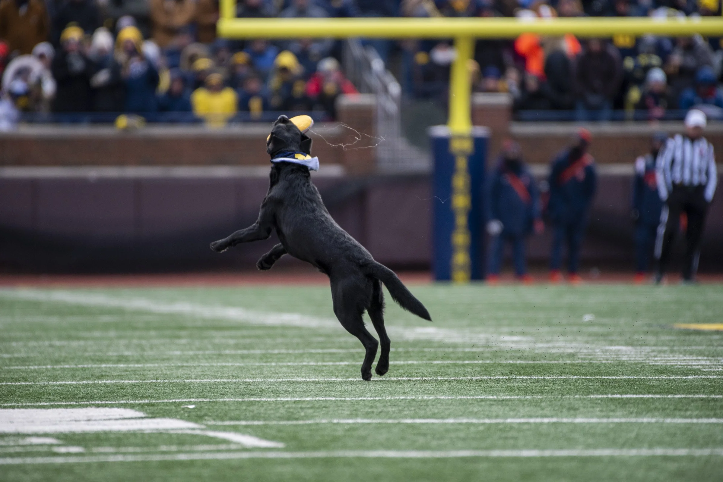 2022_FB vs Illinois_0039.jpg