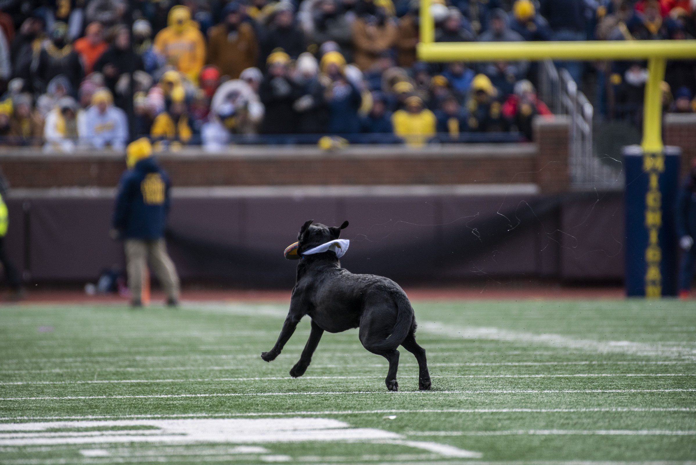 2022_FB vs Illinois_0040.jpg