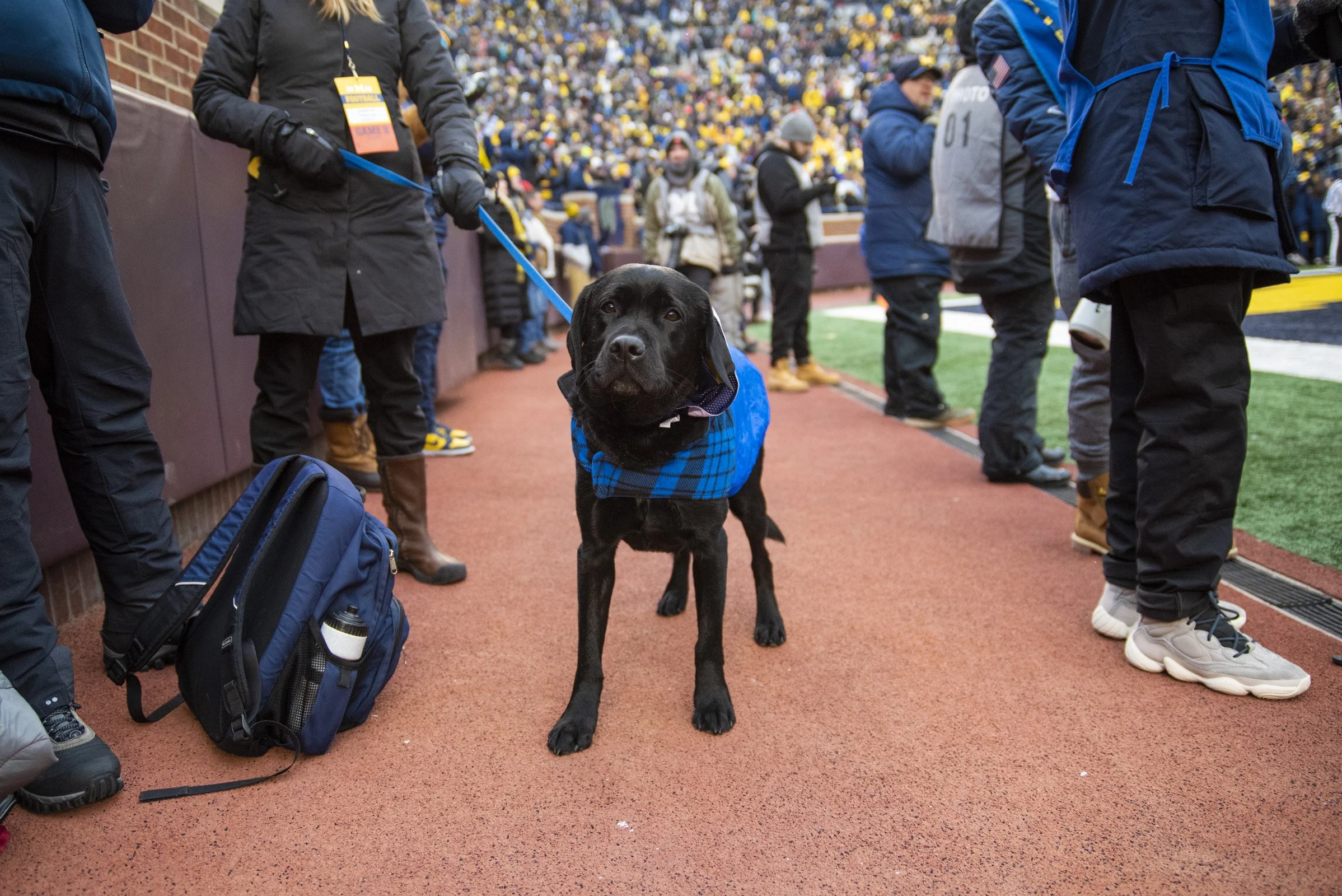 2022_FB vs Illinois_0115.jpg