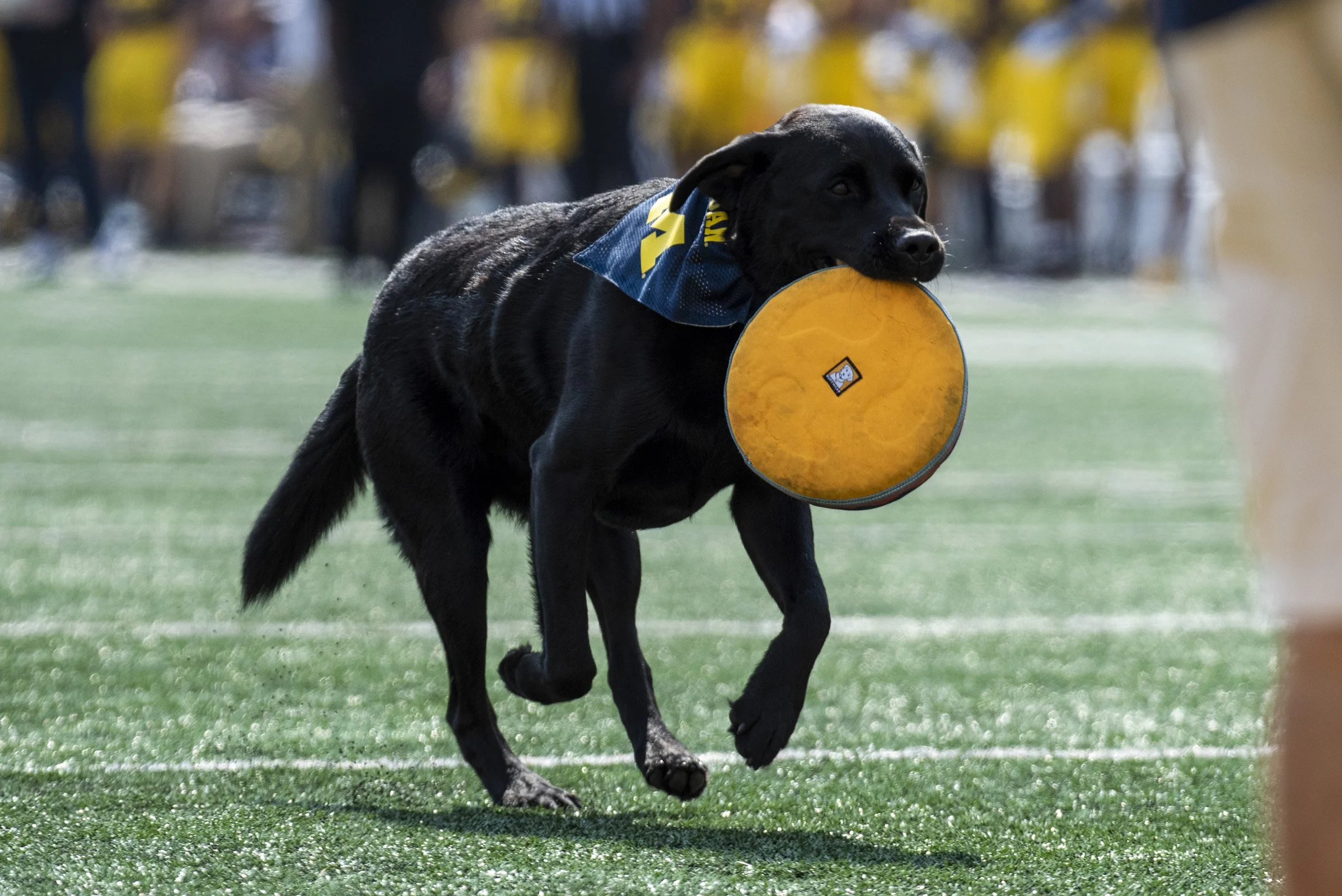 2022 FB_UM vs UCONN083.jpg