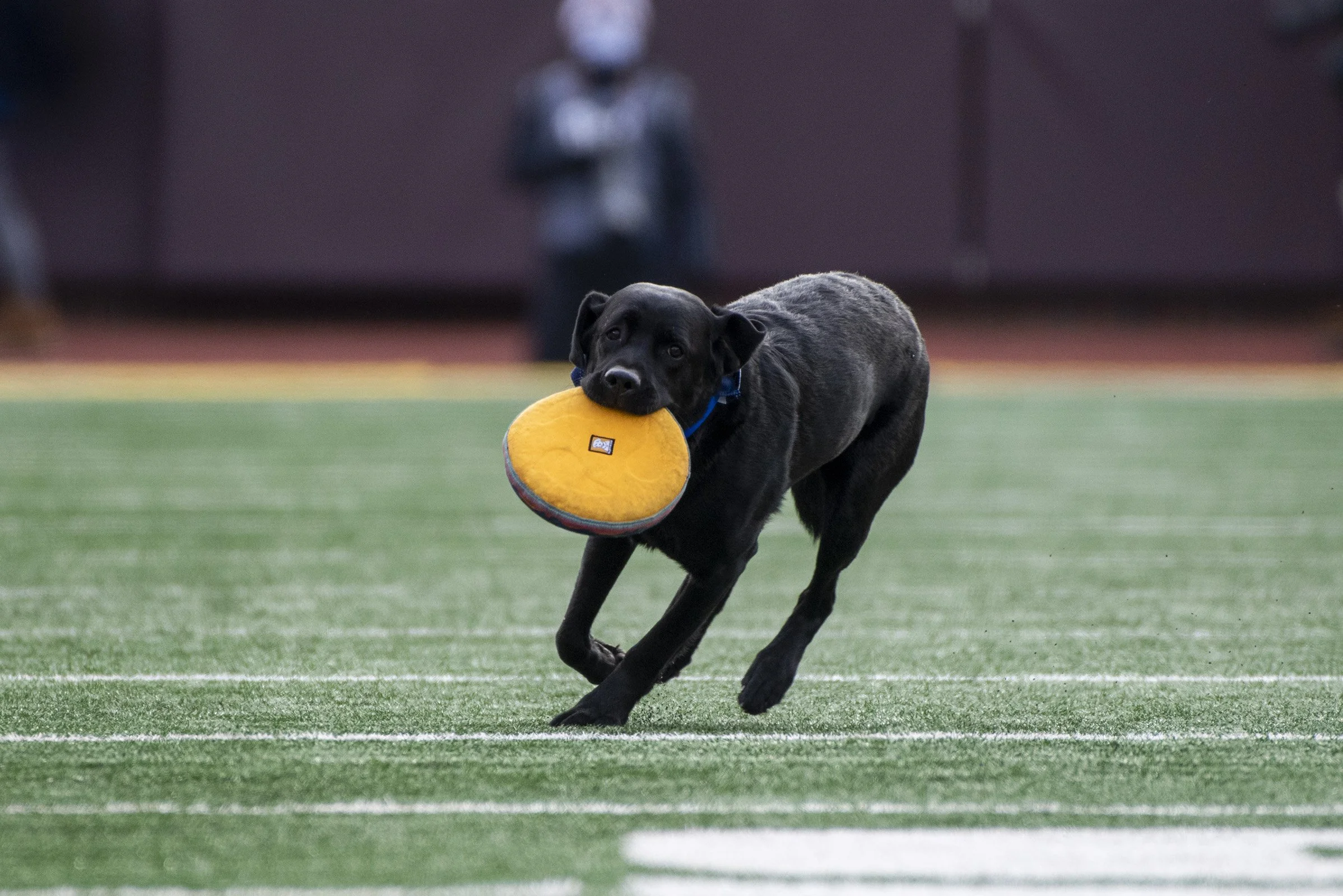 2022_FB vs Illinois_0041.jpg