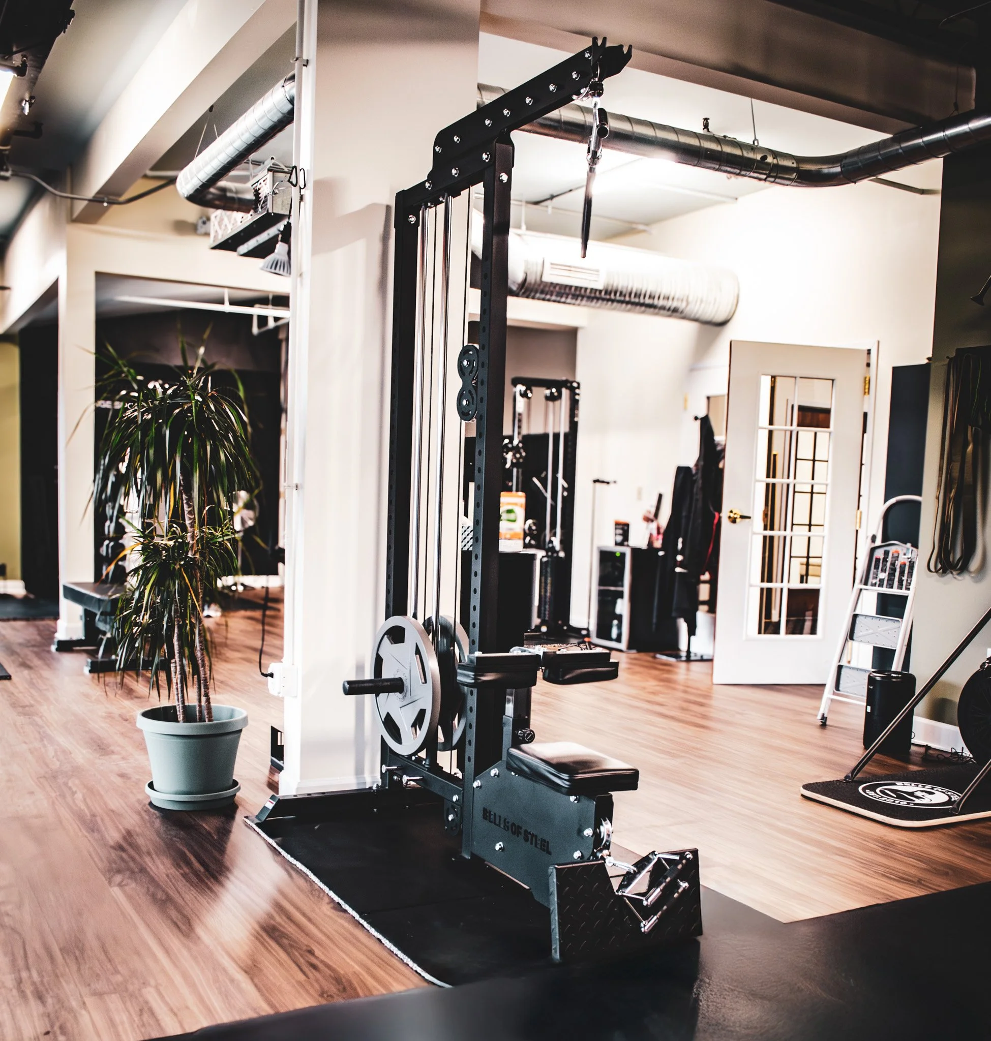 Private strength training gym interior at Archive Fitness Training in Carmel, IN, featuring professional workout equipment.