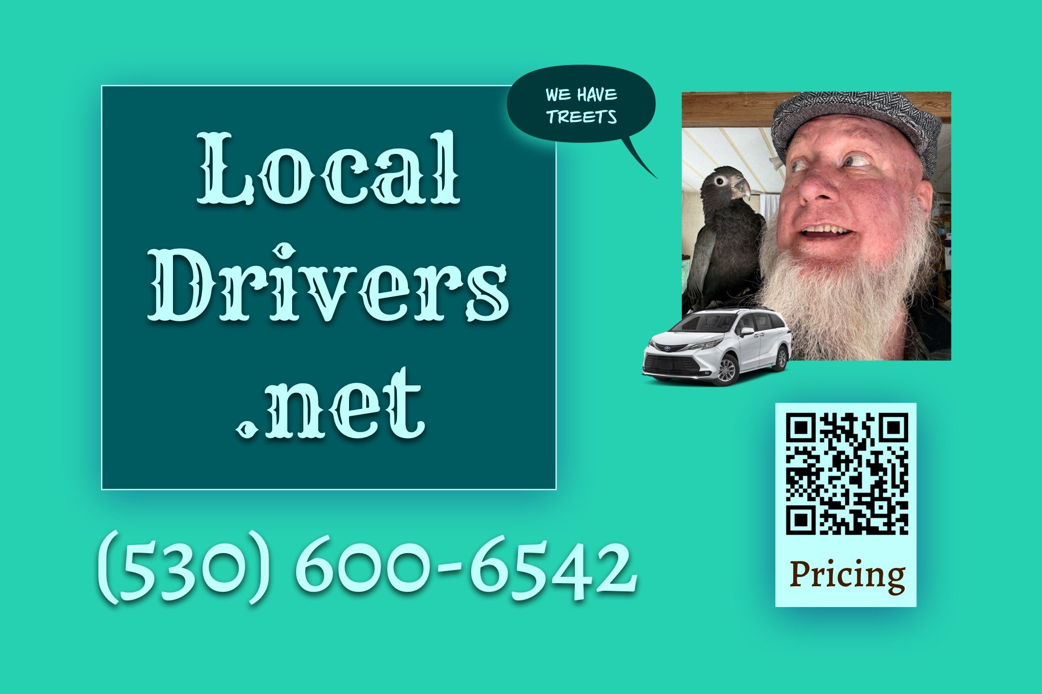 A graphic advertisement for a local services website, featuring a large photo of a man with a beard, a parrot on his shoulder, a car, and a speech bubble that says "We have treets". The website URL is partly visible: localDrivers.net, along with a phone number and a QR code.