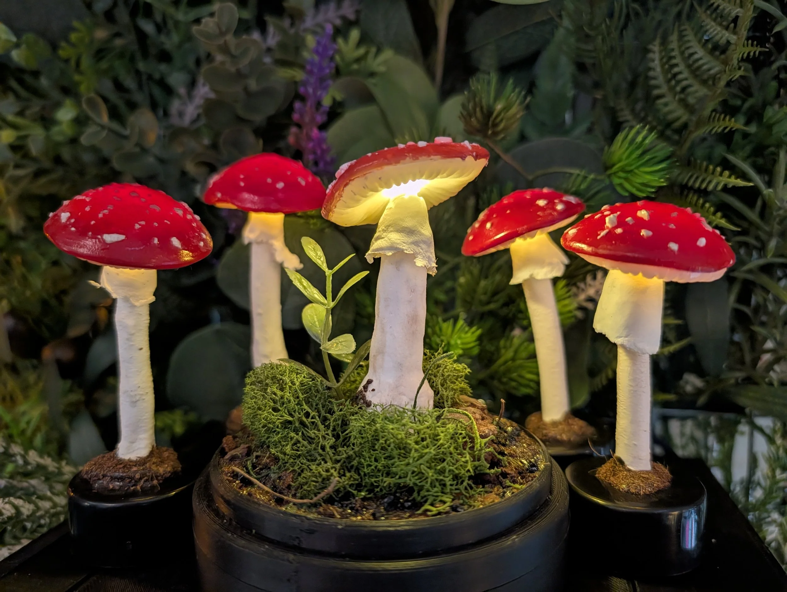 Single Stem Amanita Muscaria