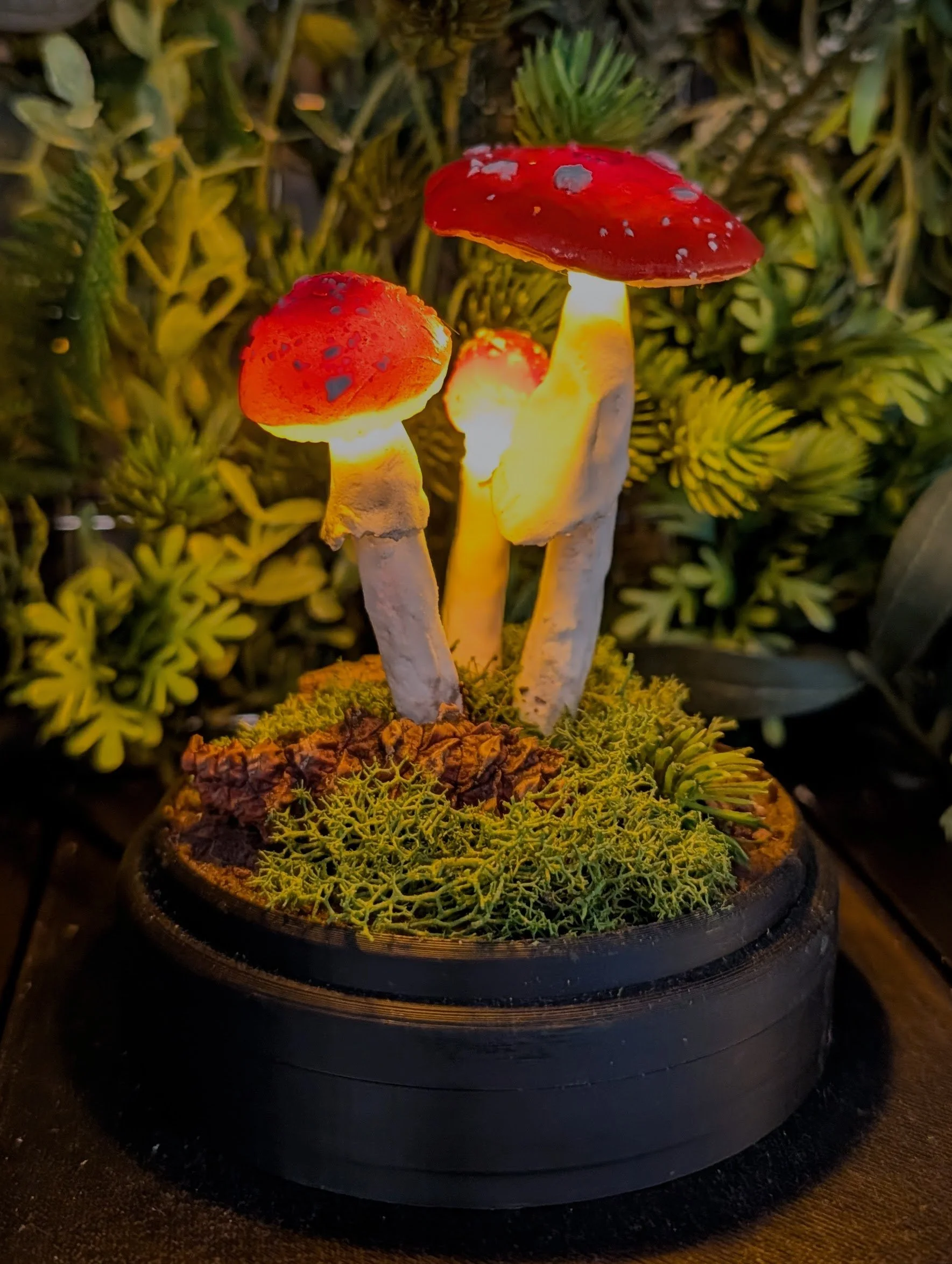 Triple Stem Amanita Muscaria
