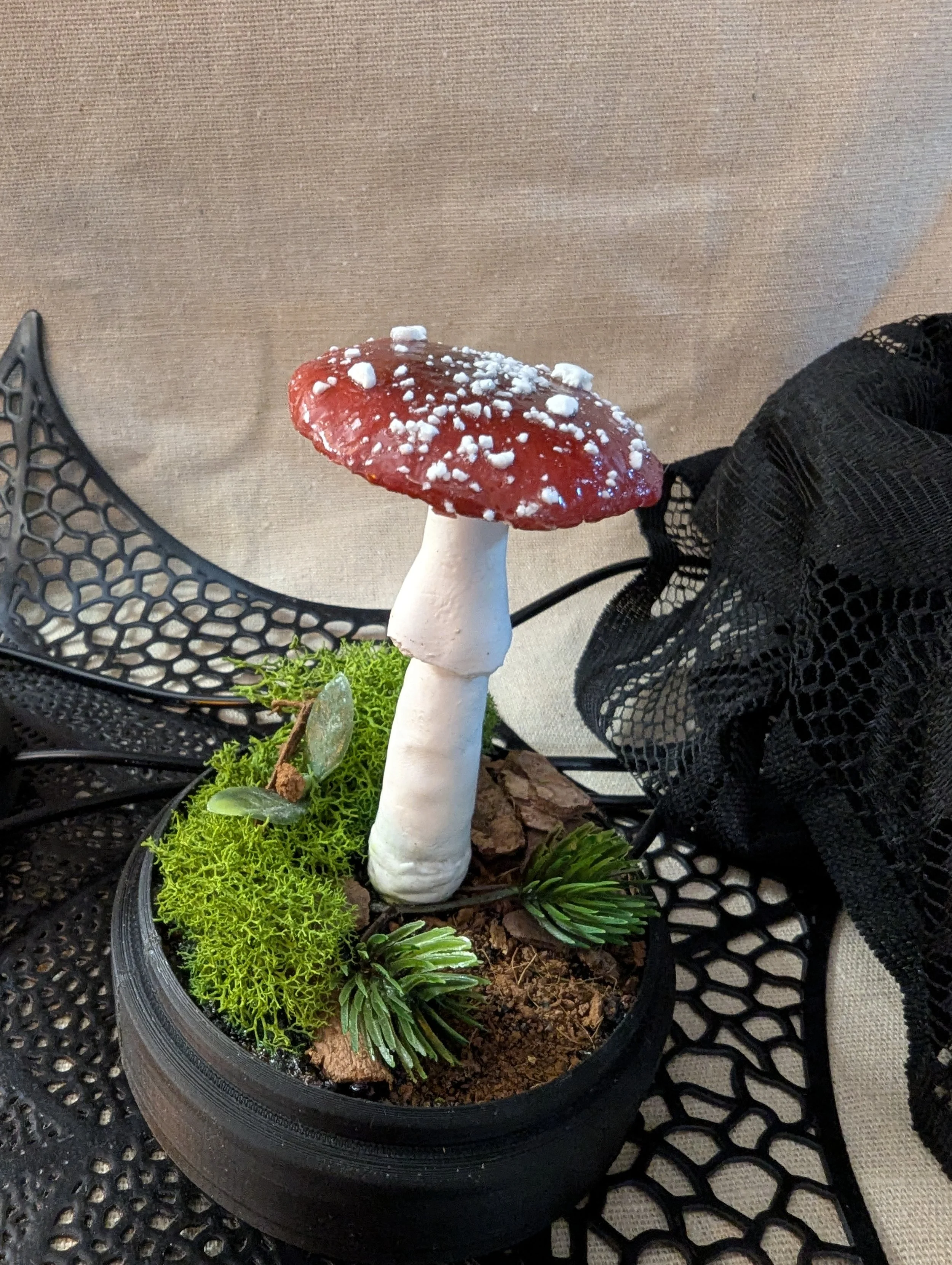 Single Stem Amanita Muscaria