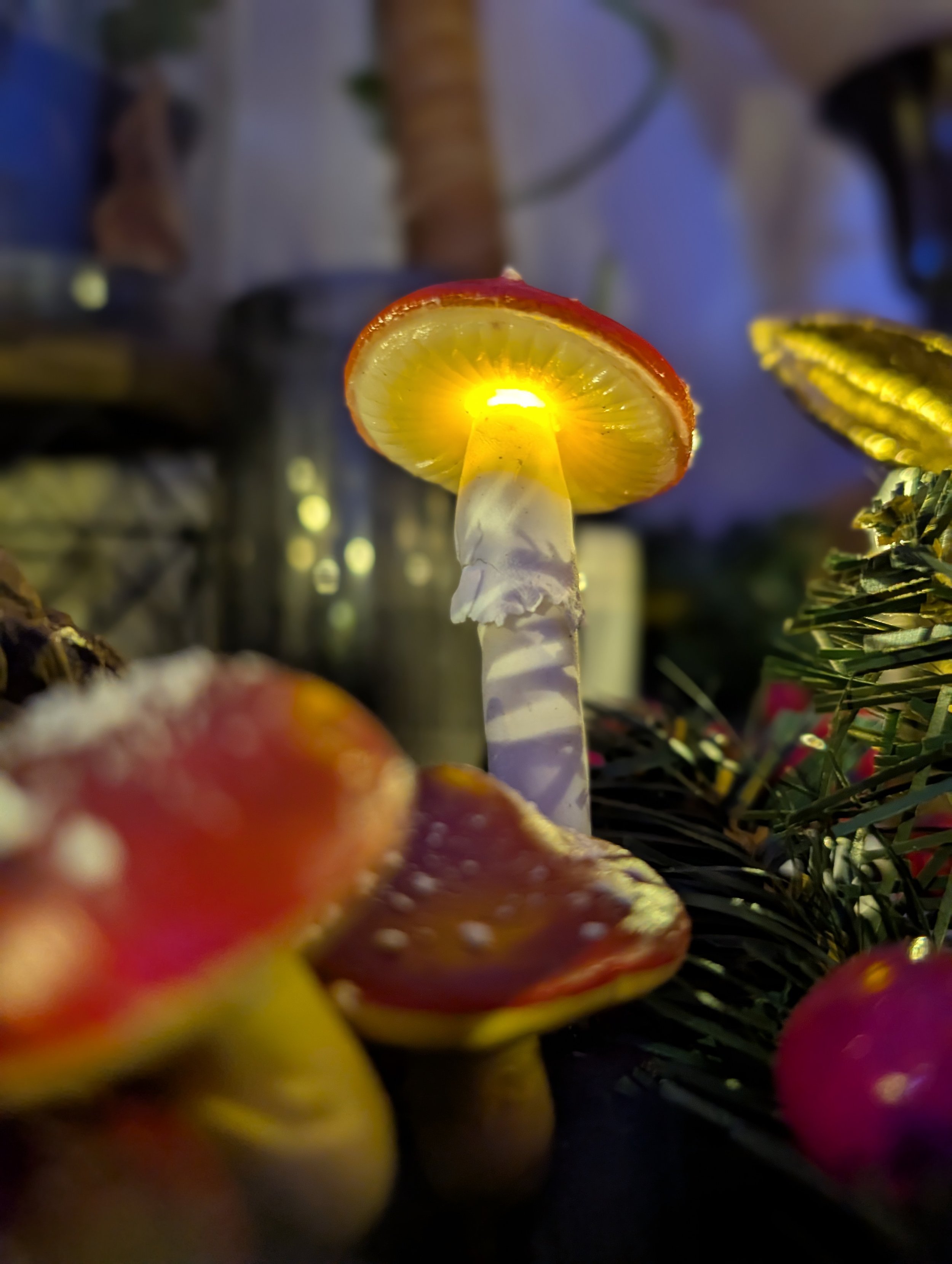 PXL_20251215_062726424.PORTRAIT.jpg