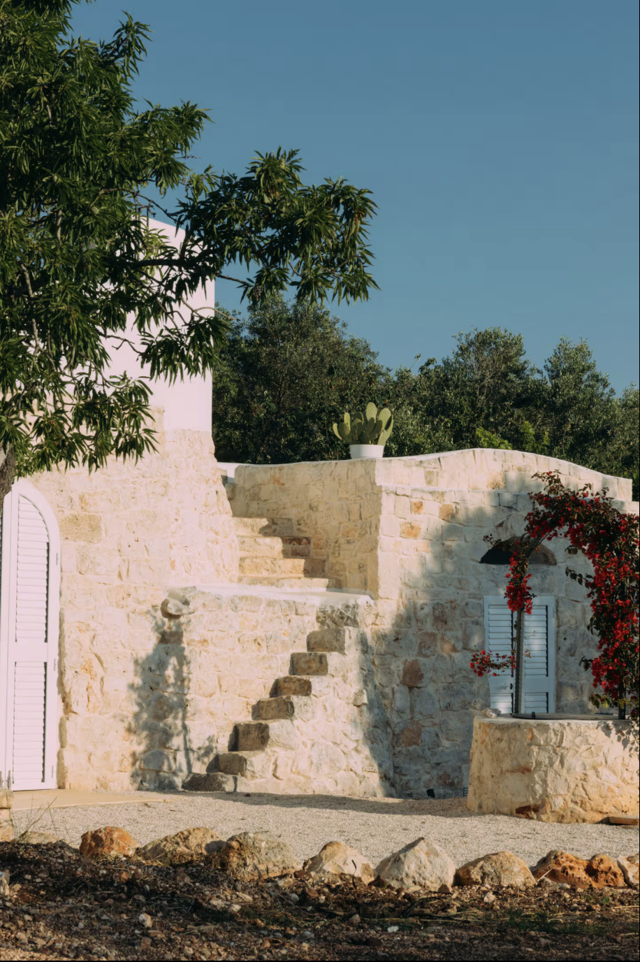 Ein mediterranes Haus mit weiß gestrichener Steinmauer, blauen Fensterläden, einer Außentreppe, einem Topfpflanzen-Cactus und roten Blumen, umgeben von grünen Bäumen unter klarem blauen Himmel.