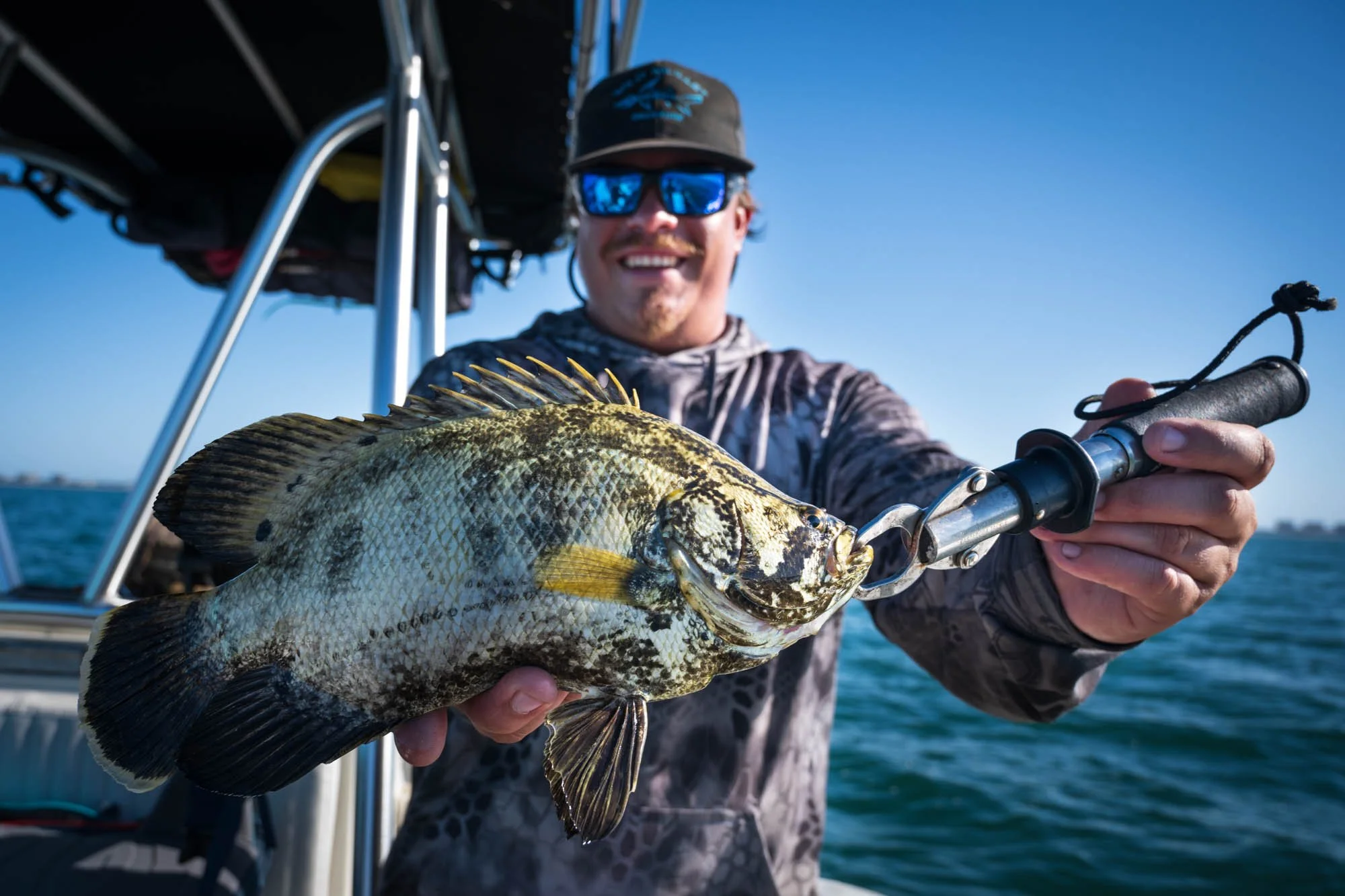 Wild Mullet Fishing Charters